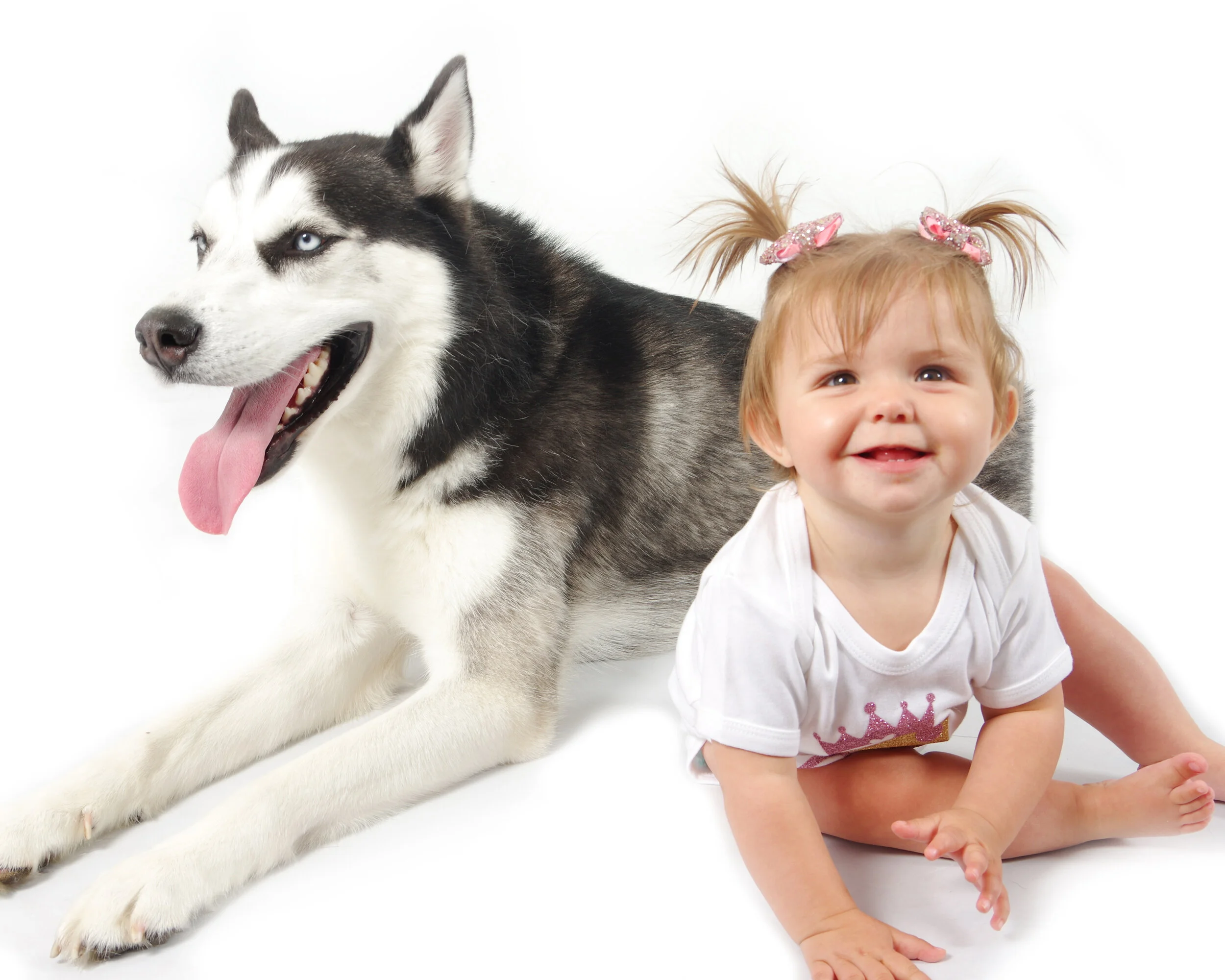 Pet Photoshoot