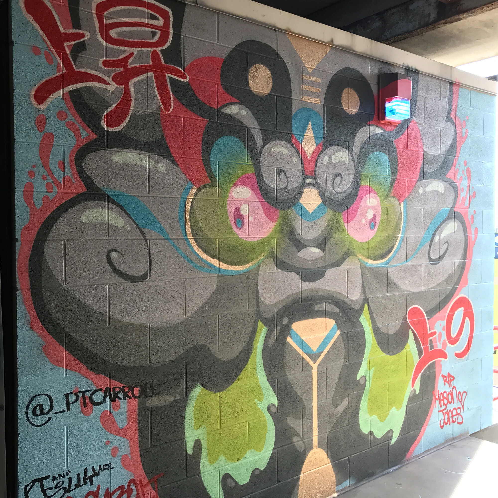 IMG_7937.jpeg