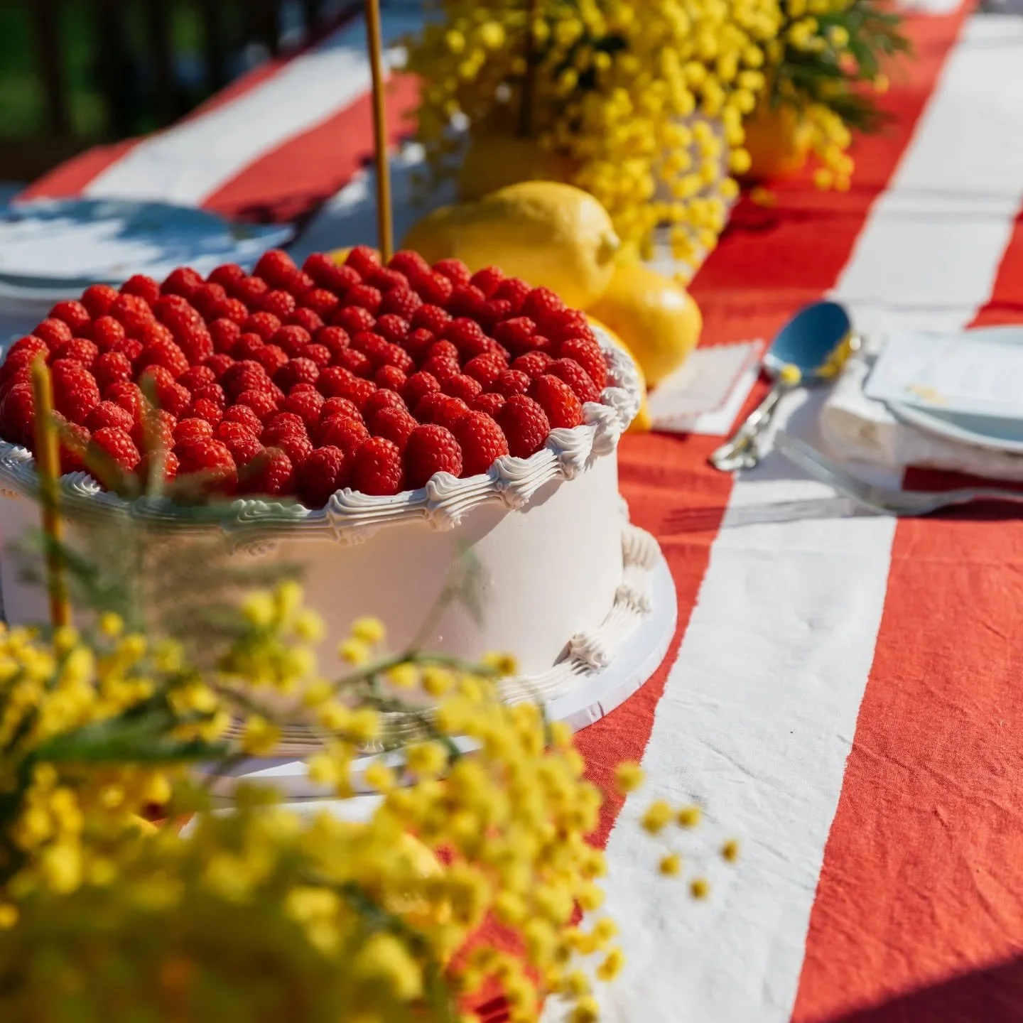 Summer in Italy.. or Spring in Cornwall?

A beautiful day working in the sunshine with amazing suppliers, eating cake, what more could you ask for? 

Lemon drizzle sponge, vanilla bean Swiss meringue buttercream, raspberry compote and lots and lots o