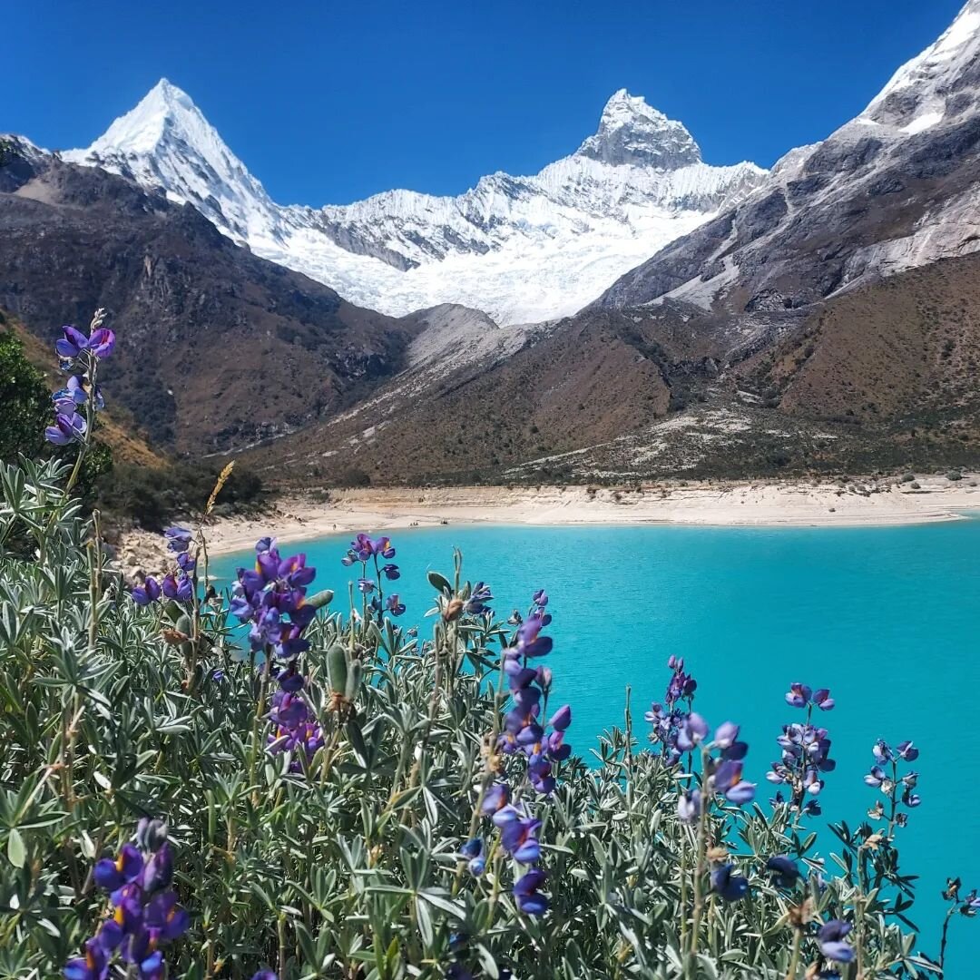 I've visited National Park Huascaran. The park has more than 33 mountains above 5400m. I really enjoyed all the beautiful views and climbed up to 4600m. I was very lucky to be at laguna Paron during the Peruvian indepence day. A lot of music, dancing