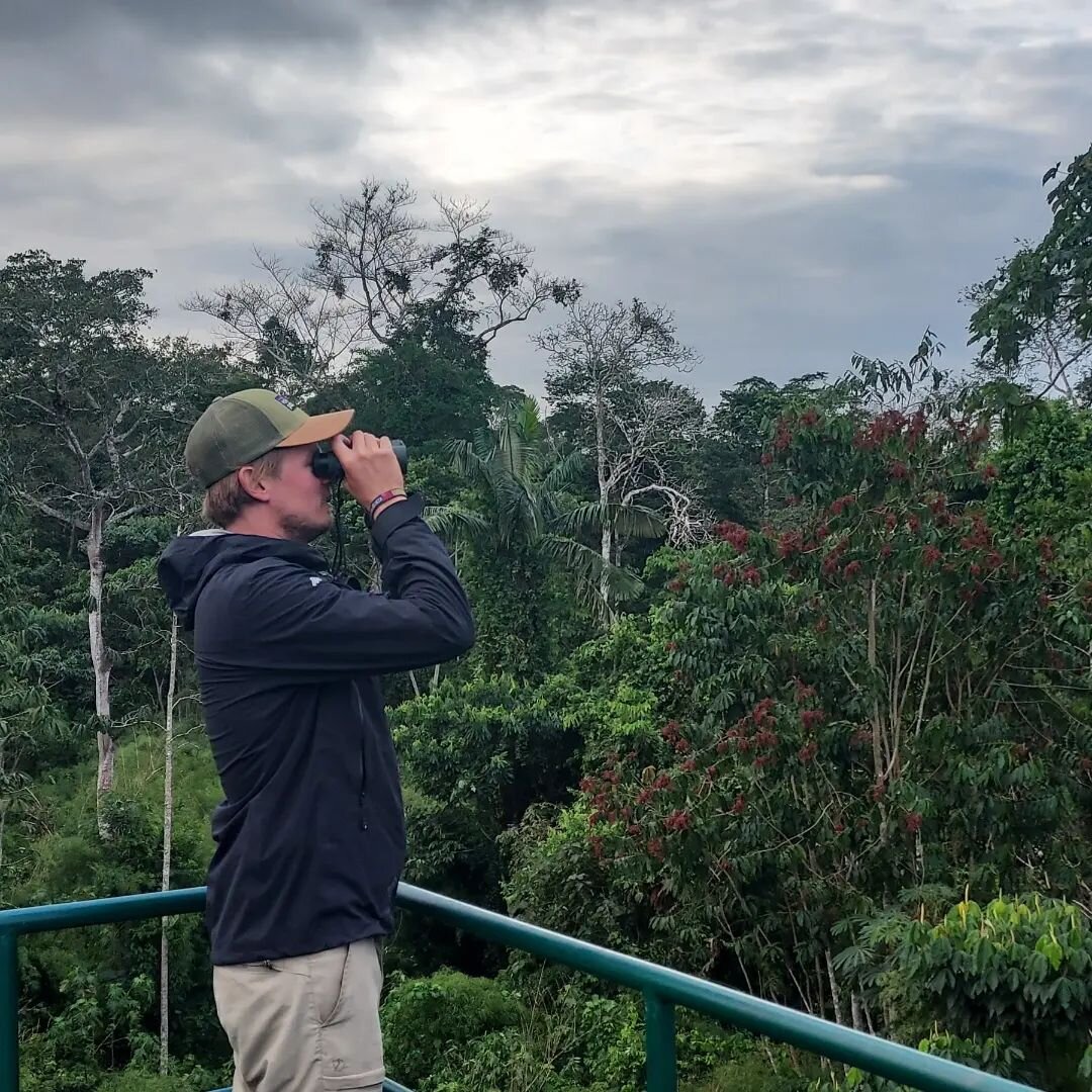 La Amazonia! I was looking forward to the Amazon for many years. Luckily I've visited one of the most biodiverse regions on the world, National park Manu! The rainforest only covers 7% of the earth's surface but no less than 50% of the species in the