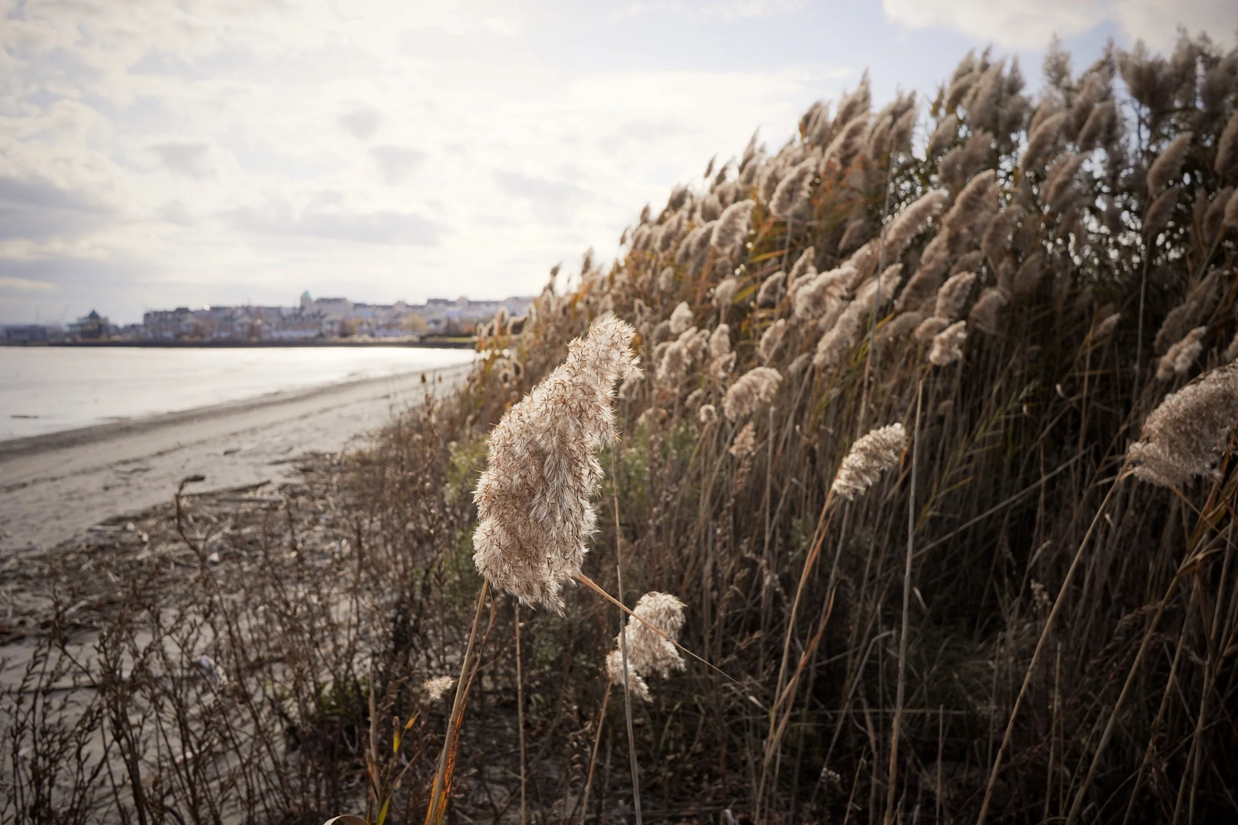 Photography with the Sony ZV-E10