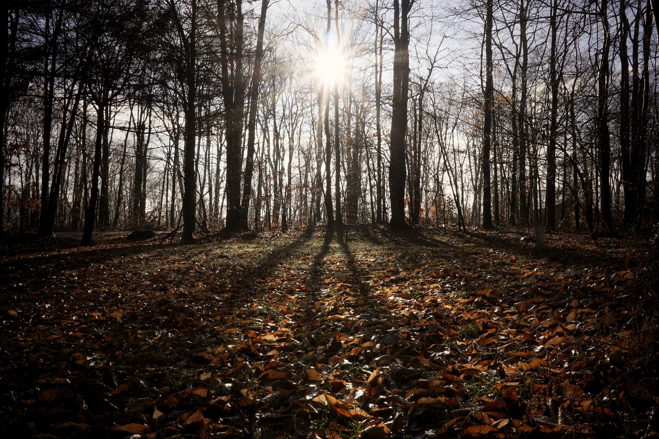 Setting Honest Resolutions