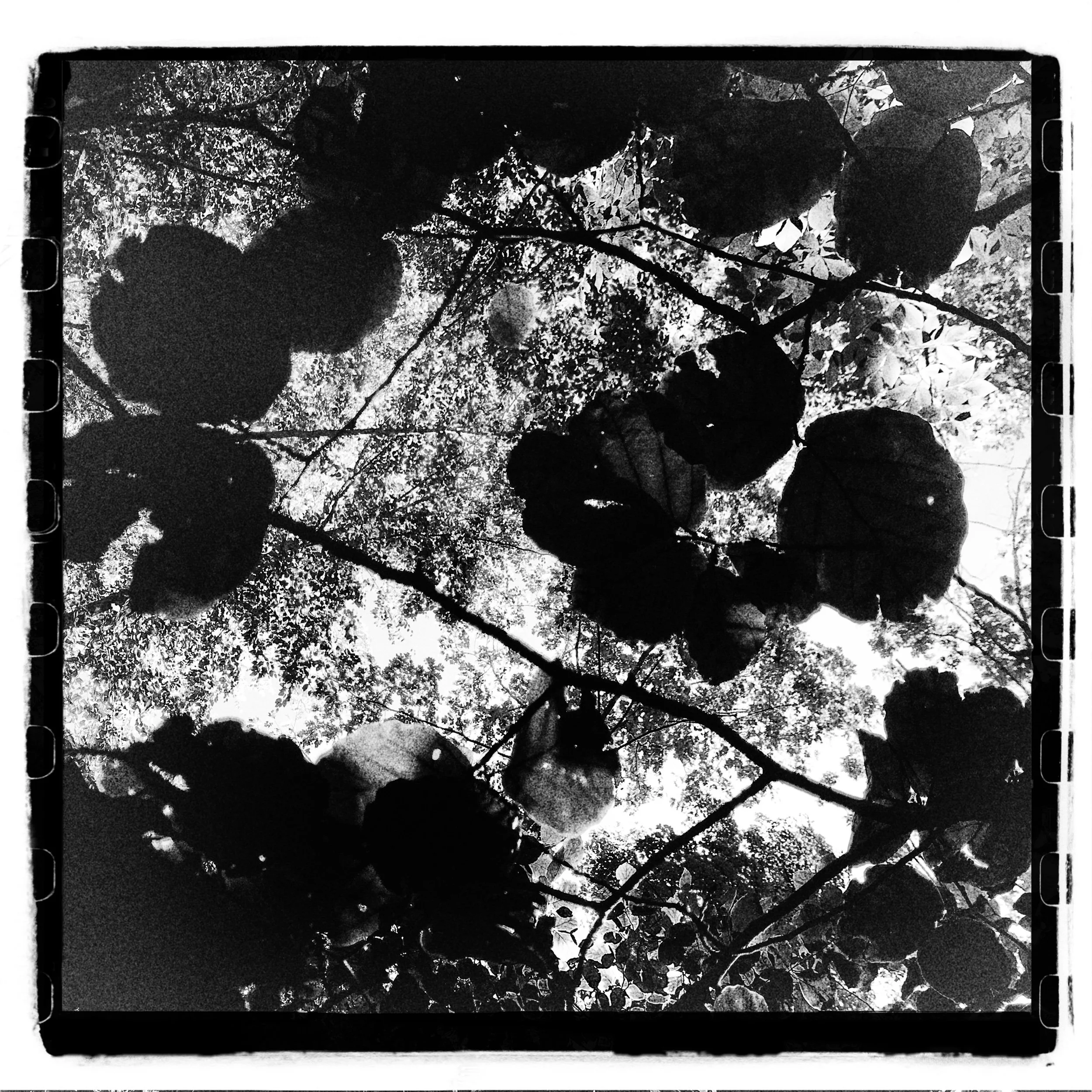 Clean or Textured Images?