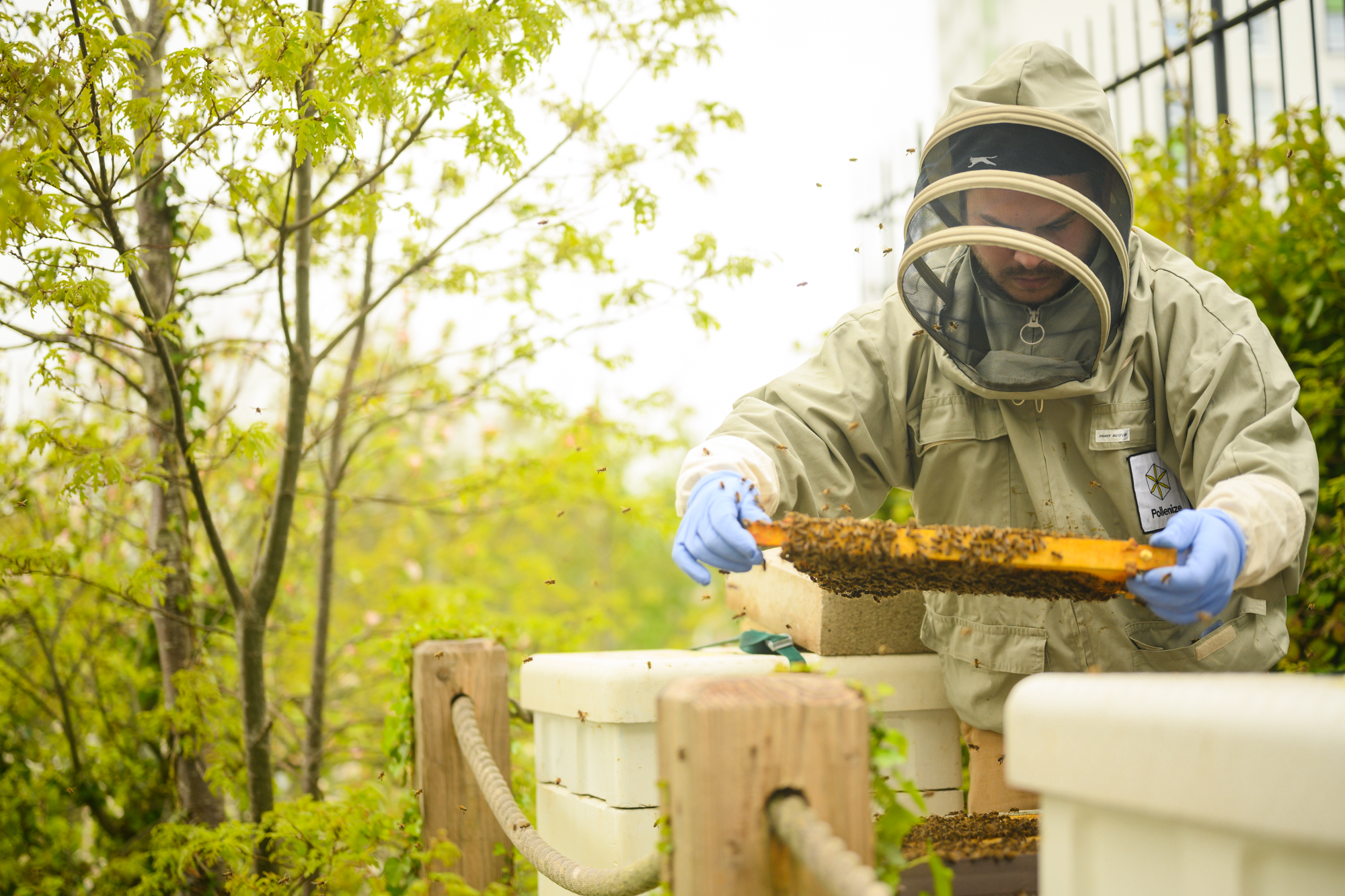 Owen - Devonport Column Apiary-4061.png