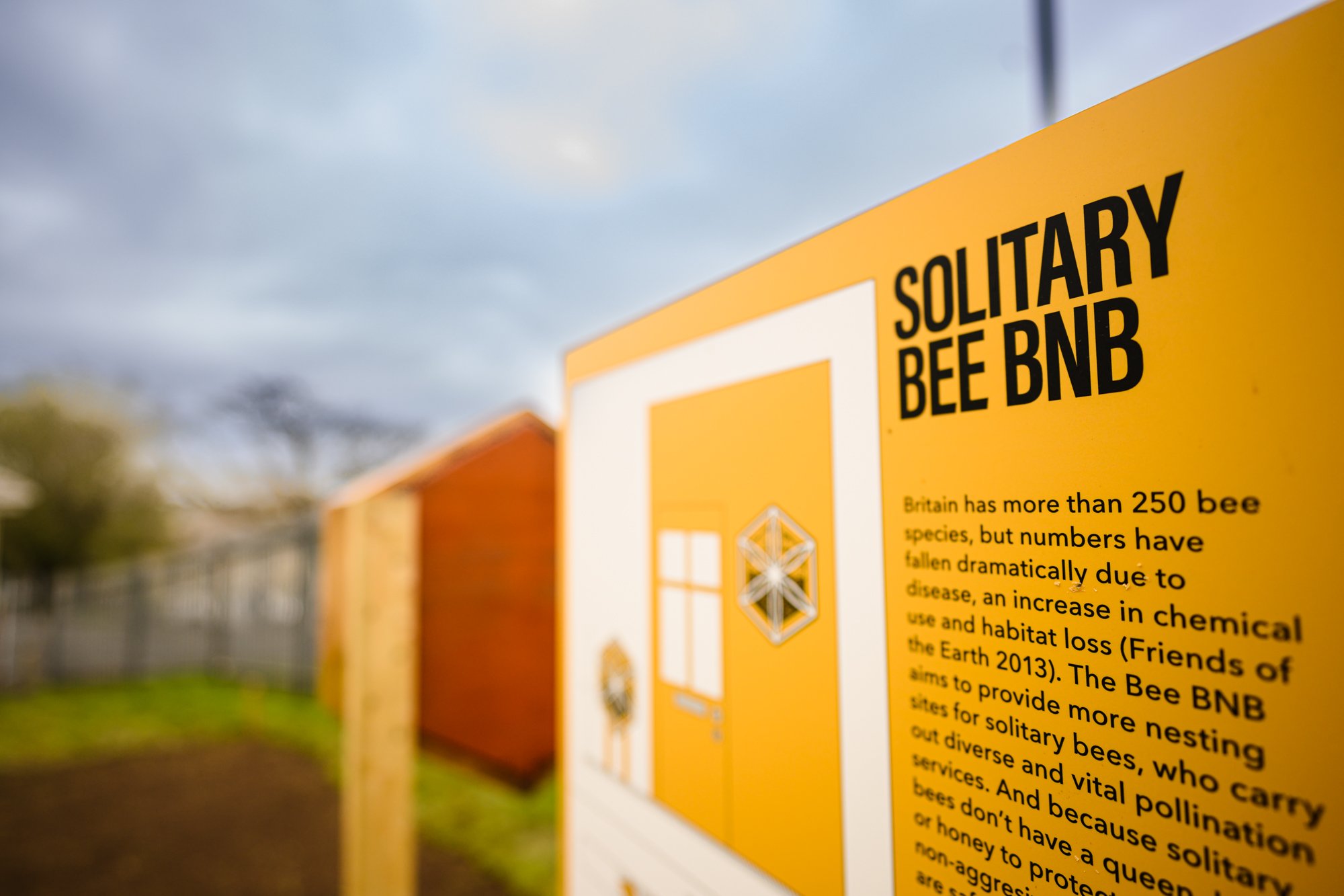 Solitary Bee BnB • Mount Gold-6902.jpg