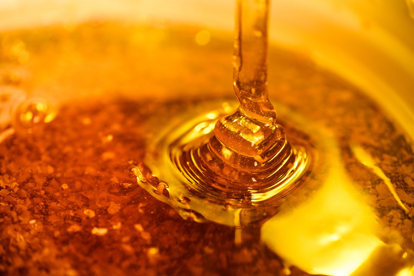Pollenize - Honey Extraction-8258_websize.jpg