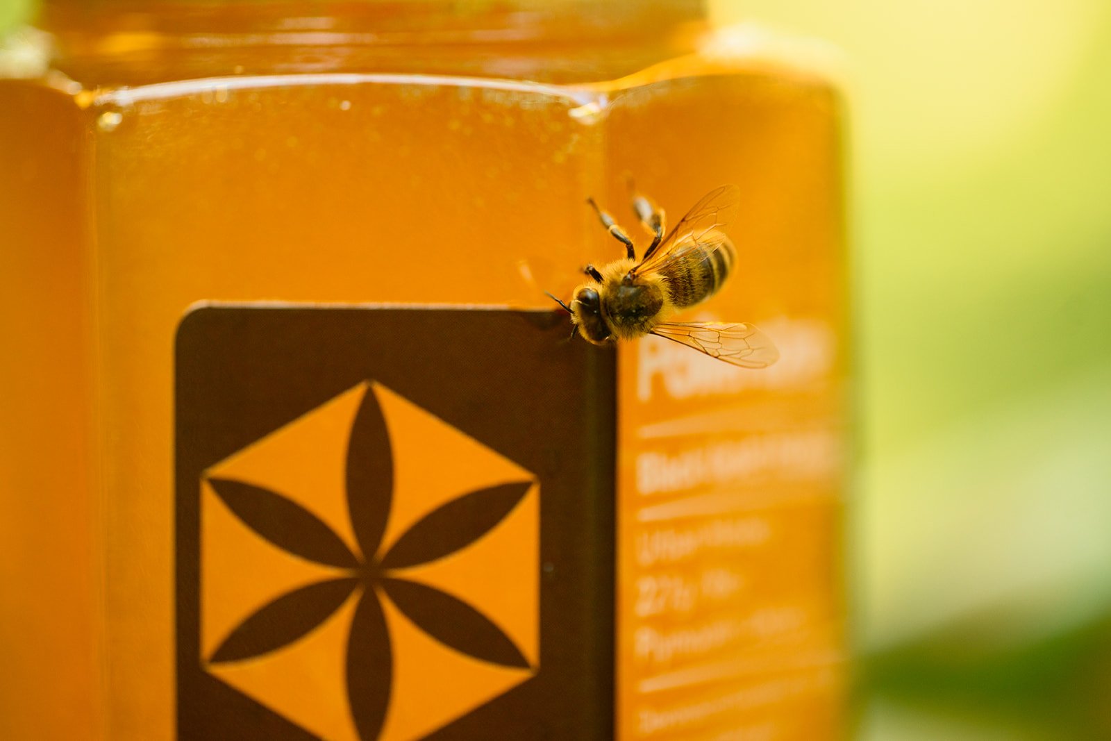 Pollenize - Honey Extraction-8365_websize.jpg