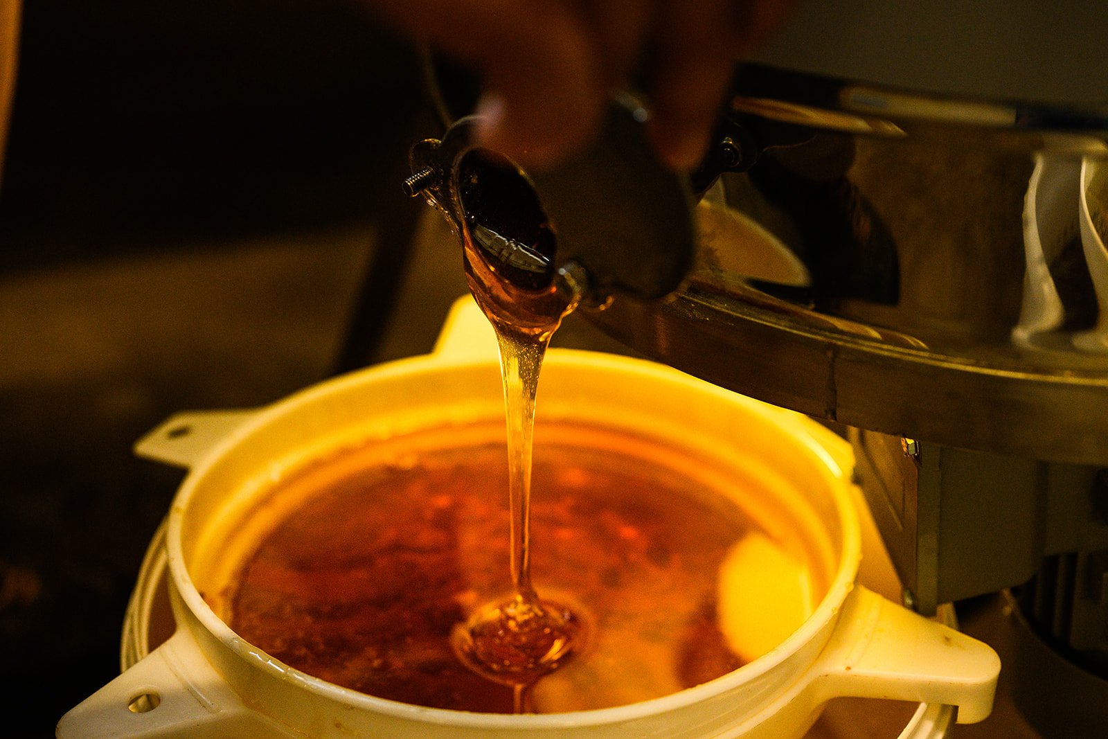 Pollenize - Honey Extraction-8297_websize.jpg