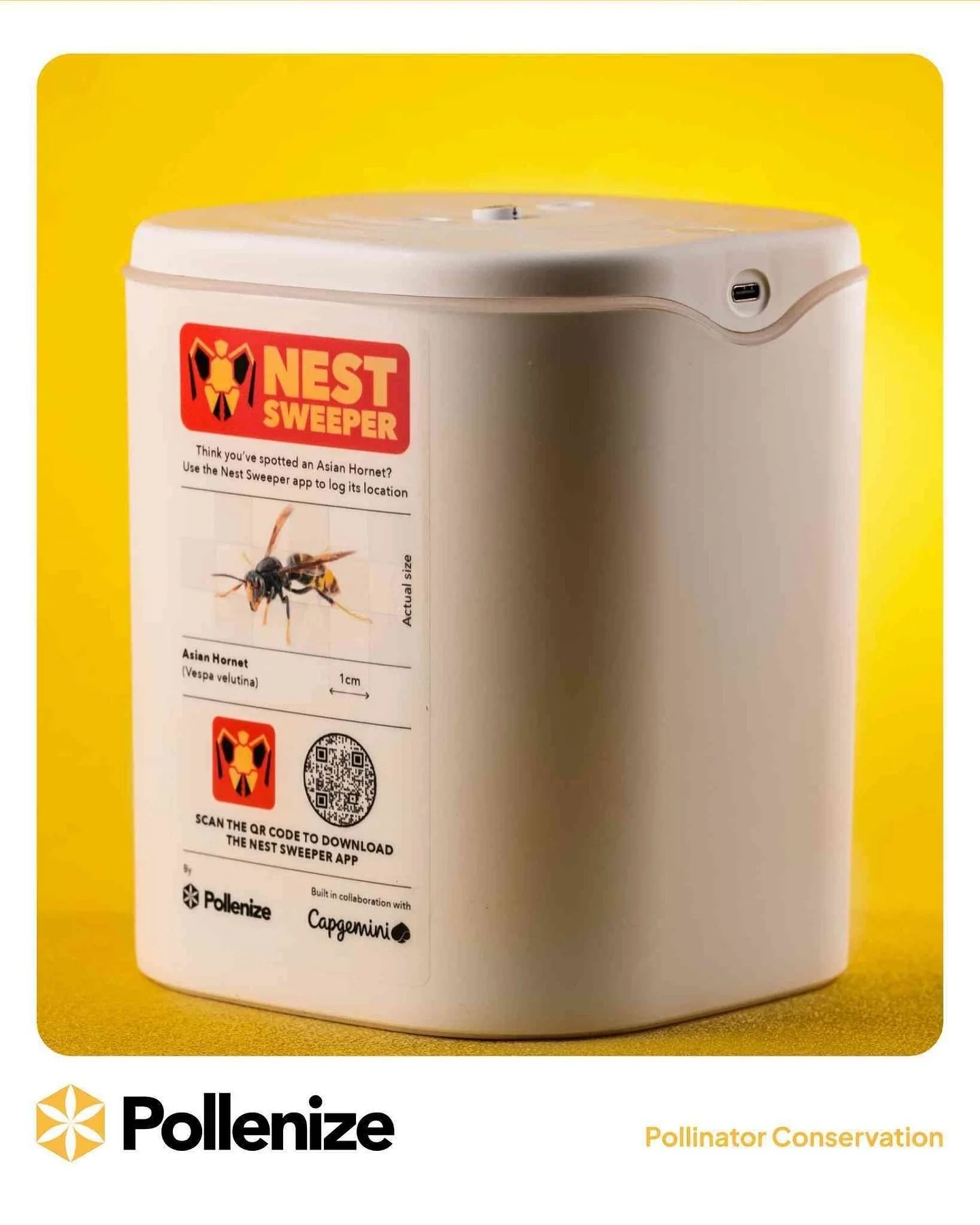 Asian Hornet Action!
By combining the Nest Sweeper bait station with our AI-powered app, we’re transforming how Asian Hornets are monitored,  using technology to protect pollinators through smarter, data-driven insights. 
Find out more via th