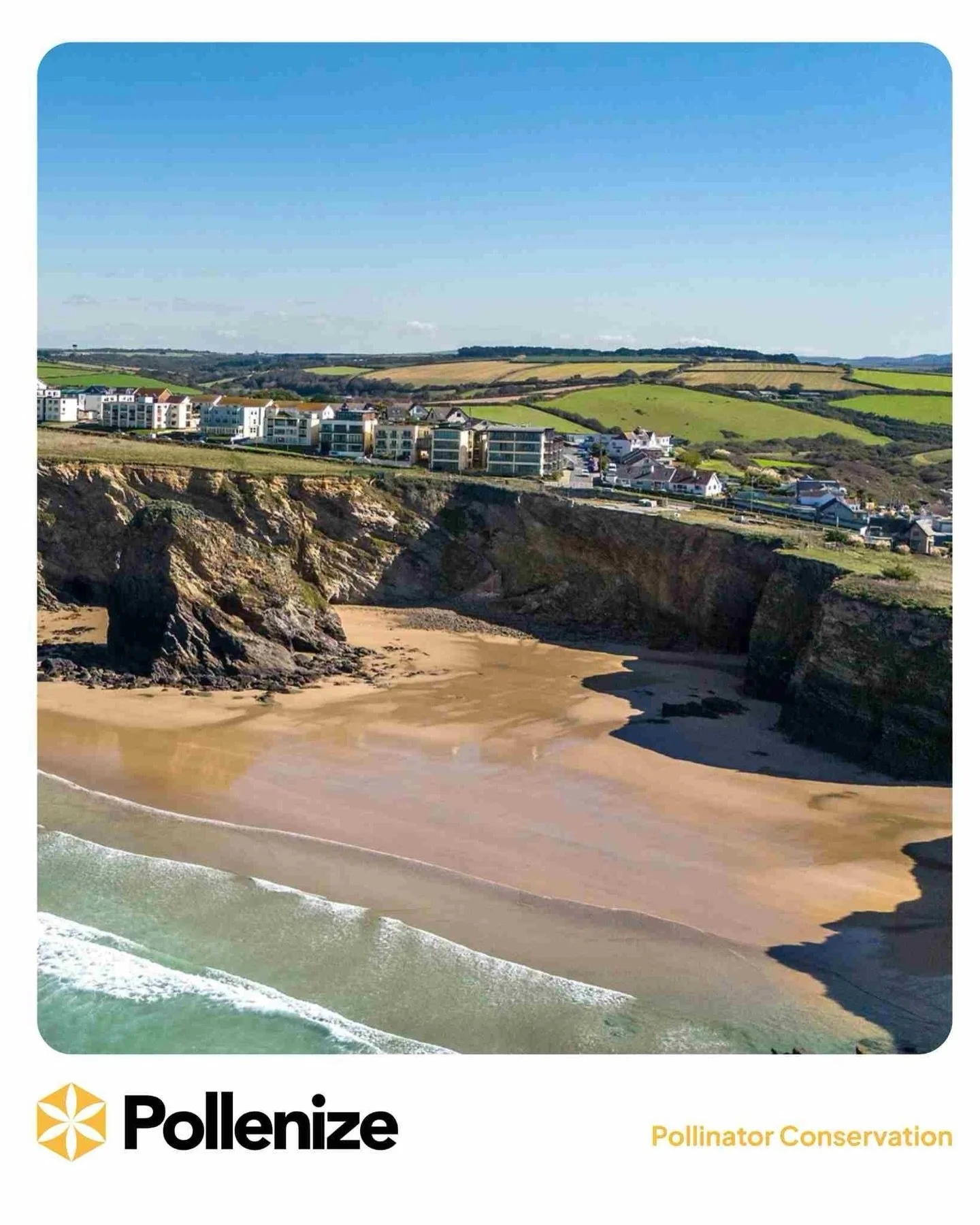 🌿NEW BLOG🌿 

Nature&rsquo;s potential is often hidden in plain sight and at SeaSpace, that potential is starting to bloom. Through our partnership with this vibrant coastal hub in Cornwall, we&rsquo;re using Floradex to uncover the wildflower diver