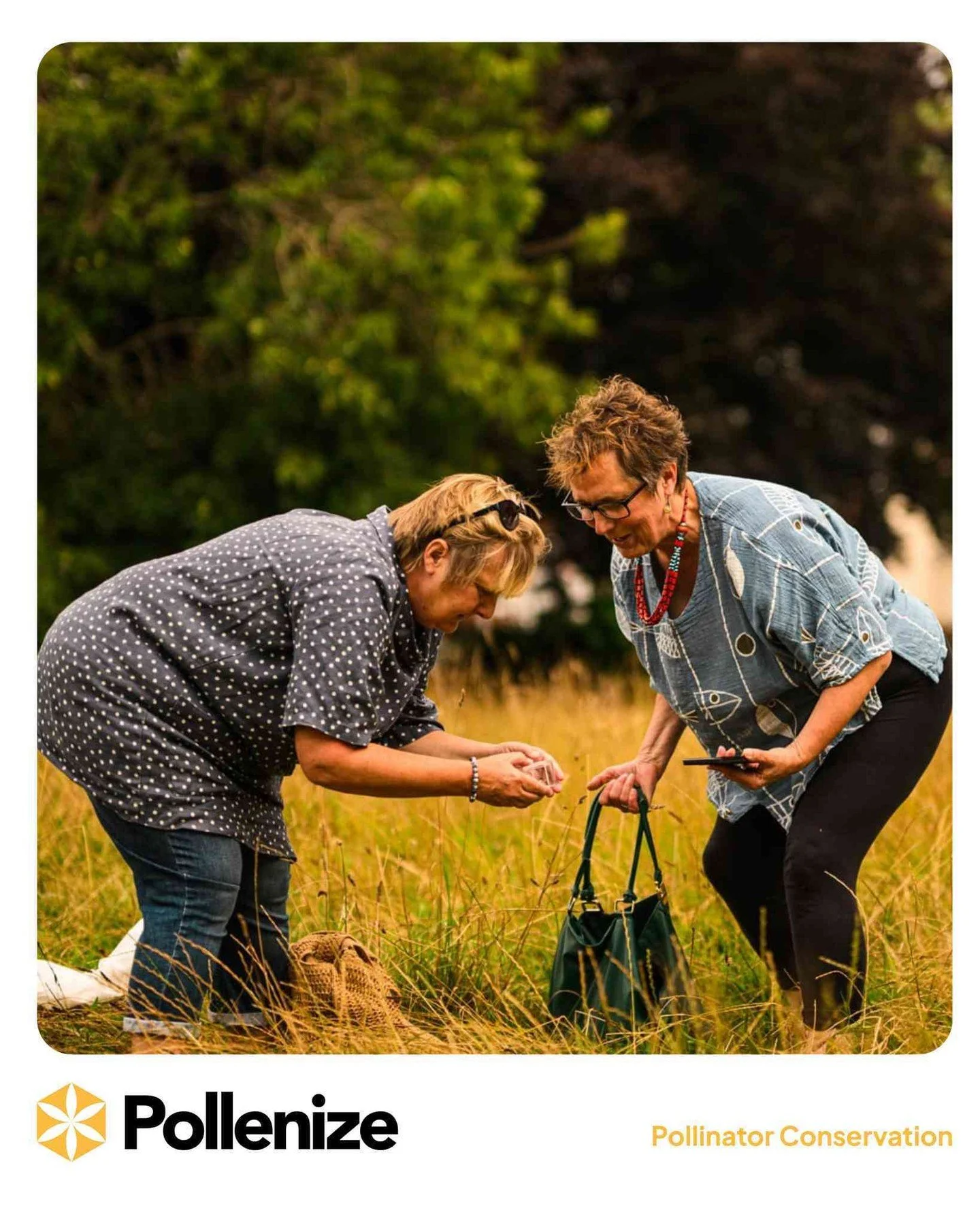 Happy New Year ✨

We&rsquo;re ready for another year of sharing the joy of spending time in nature, and showing how protecting it can be simple, creative, and rewarding. 🌱🐝

Take a look at the Pollenize website to find out more (or remind yourself!