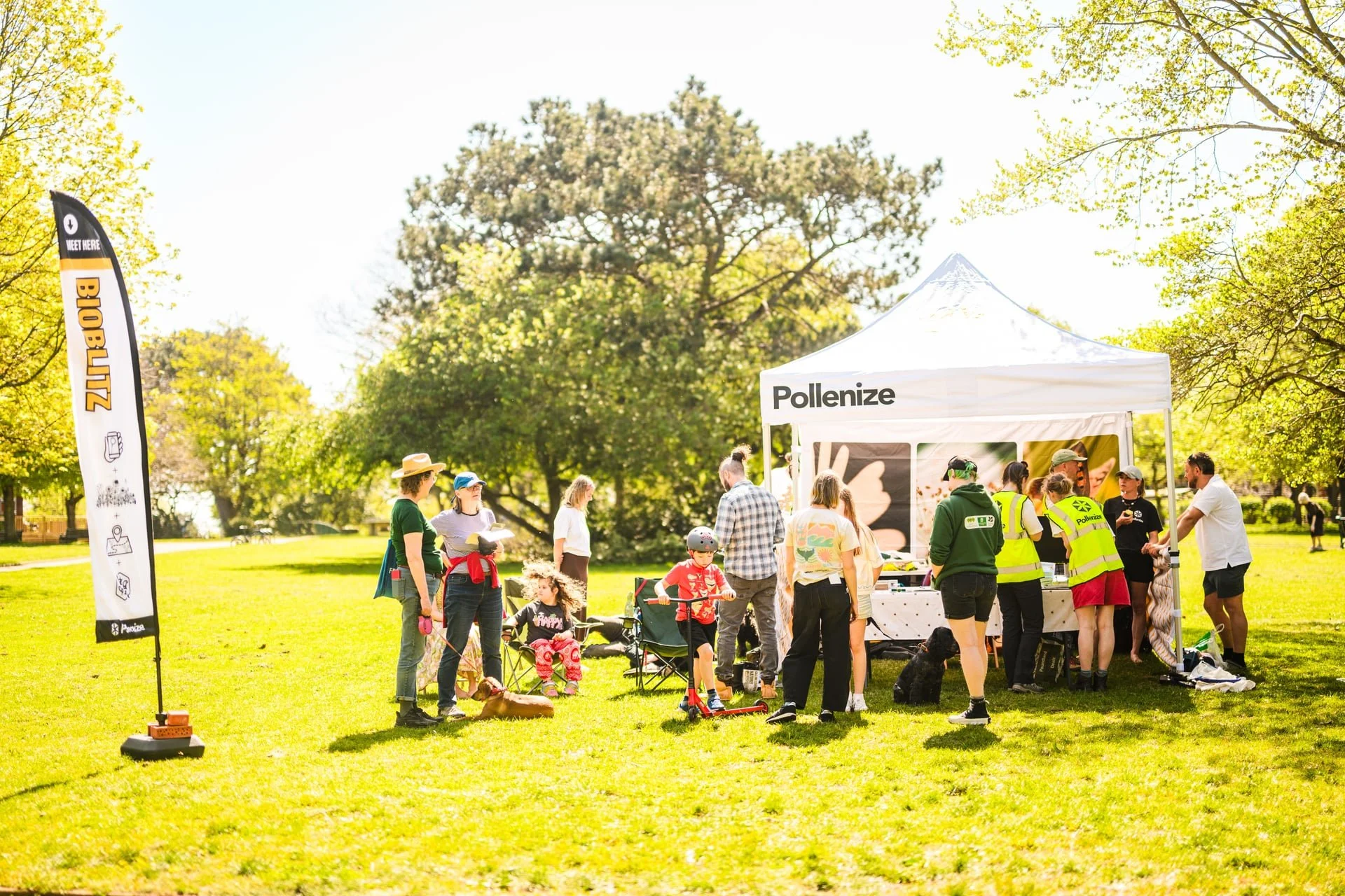 Pollenize Launches Nature Counts to Power Community-Led Biodiversity Action in Devonport and Mount Wise Park