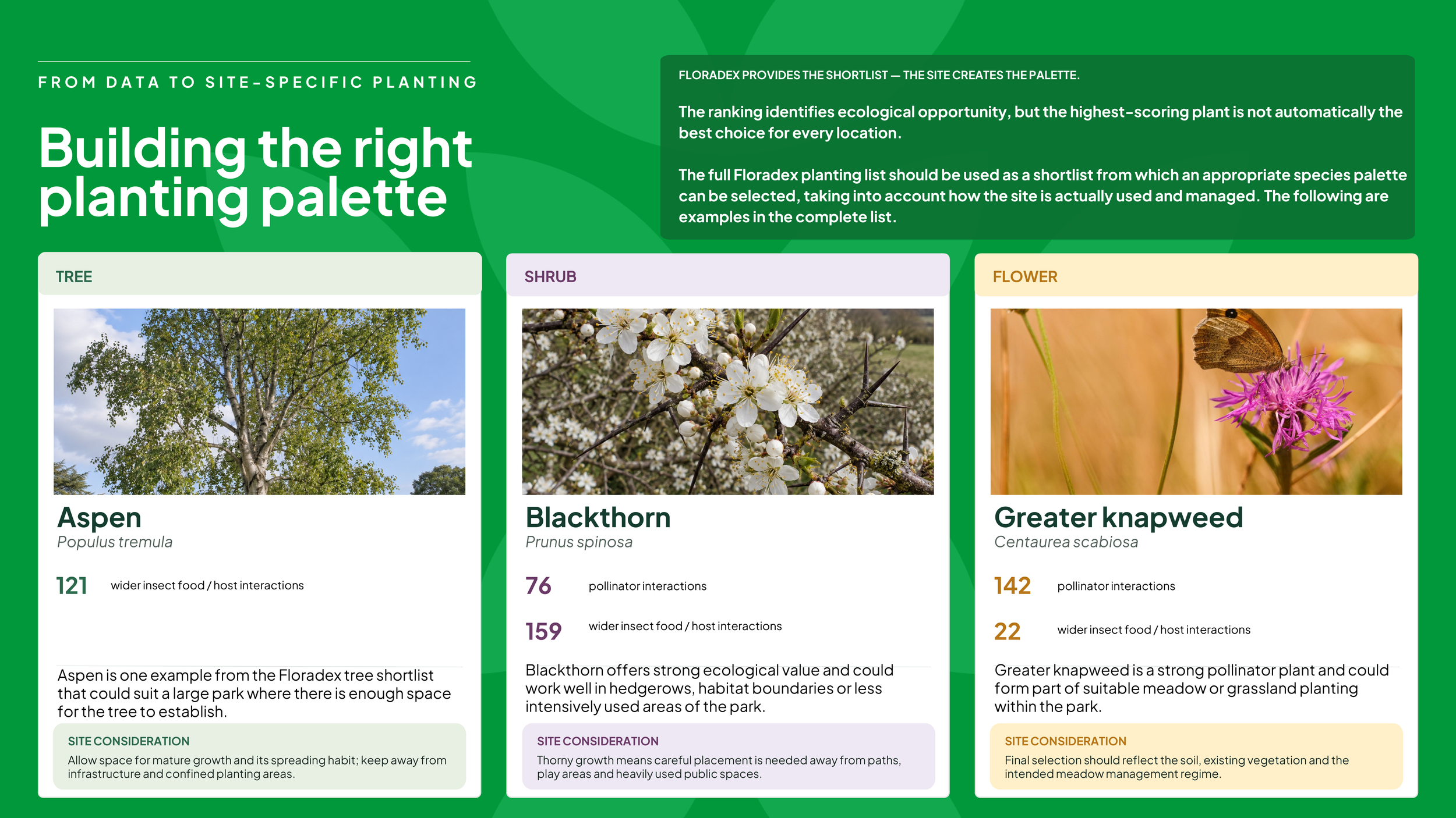 [FINAL]Devonport Park 'Nature Counts' Biodiversity Report 2026.pdf -7.png