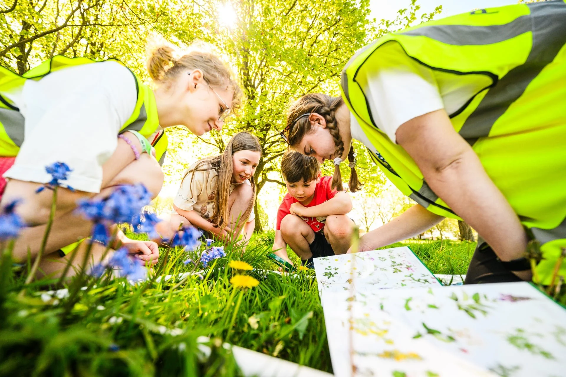 Nature Counts 2026