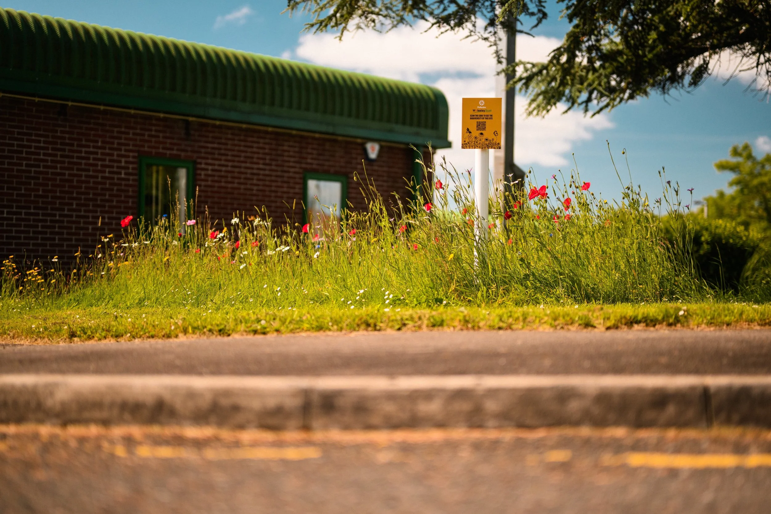 A grassy area with wildflowers in front of a building with a green roof and brick walls, along with a yellow informational sign on a post.