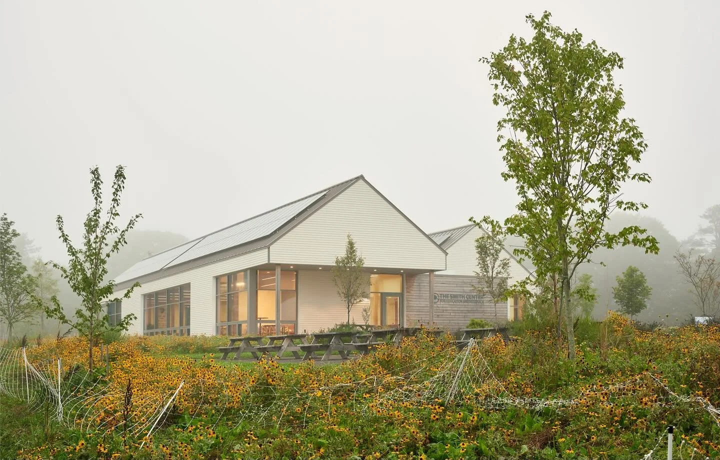 Wolfe&rsquo;s Neck Smith Center surrounded by black eyed Susans and morning mist 🌼