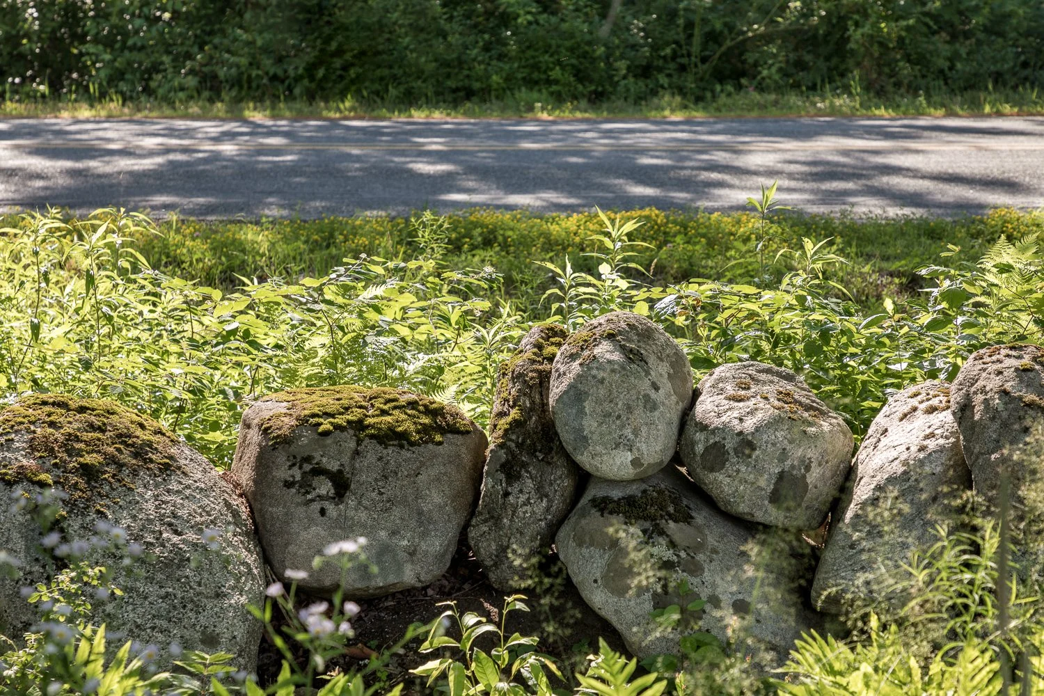 2025-07-09 ZACHAU Pownal WEB ©Jeff Roberts Imaging (13).jpg