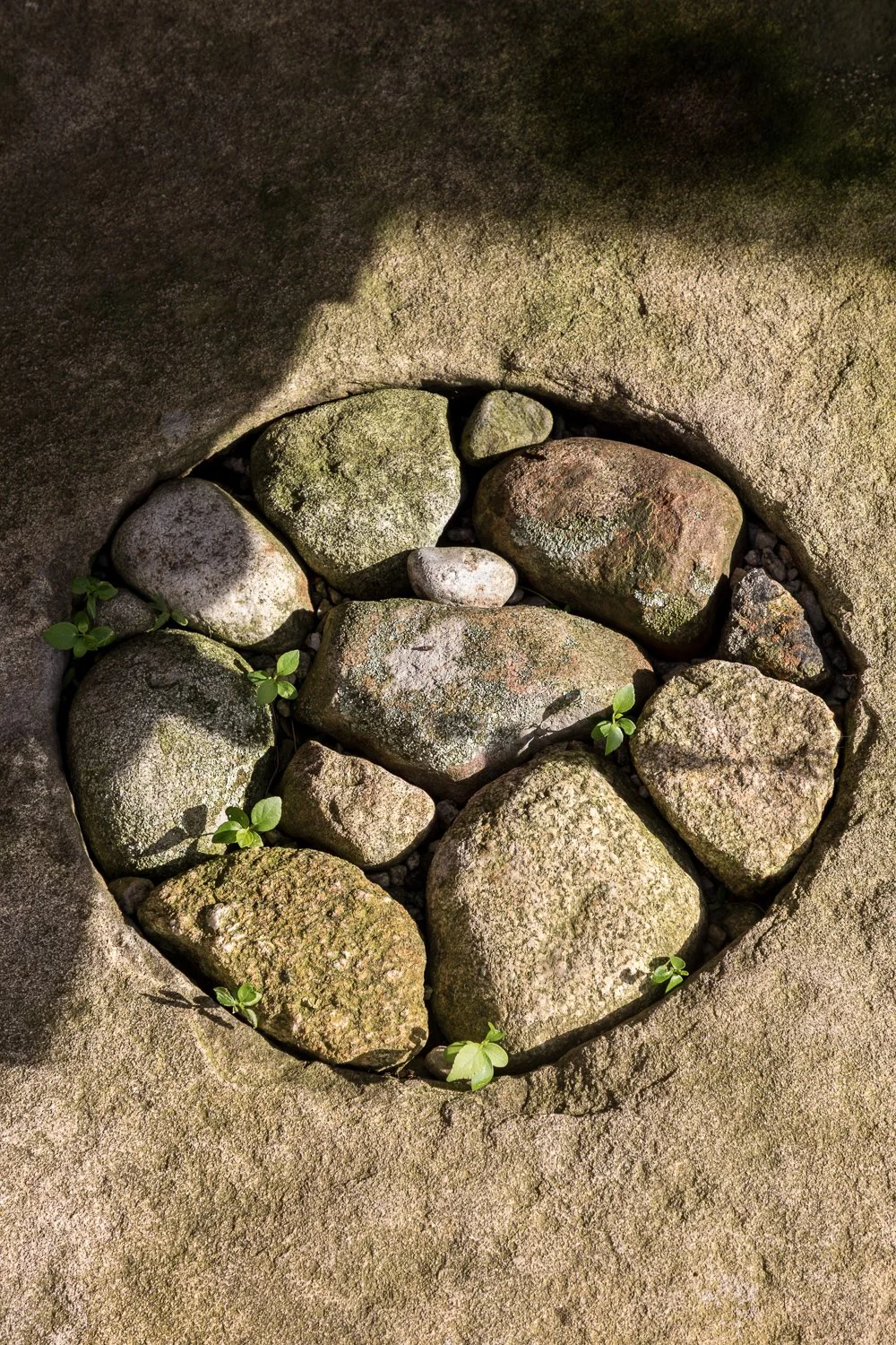 2025-07-09 ZACHAU Pownal WEB ©Jeff Roberts Imaging (40).jpg