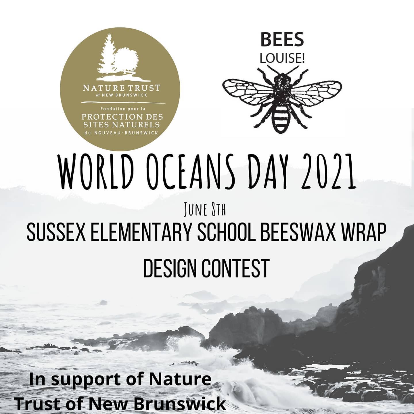 To celebrate and bring awareness to World Oceans Day (June 8th) this year,  we have pulled off the most fun collaboration to date! 🌊🌊

We teamed up with Sussex Elementary School and ran a drawing contest,  where participants drew their idea of what