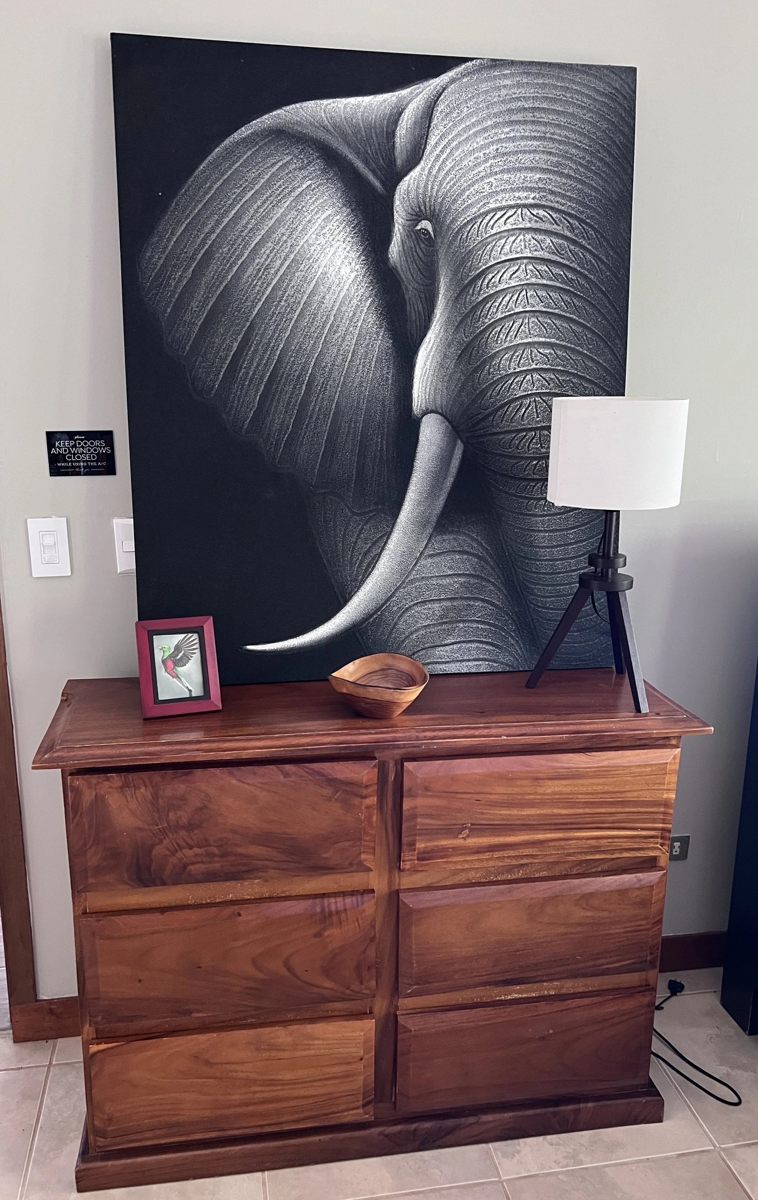 Elephant.jpeg