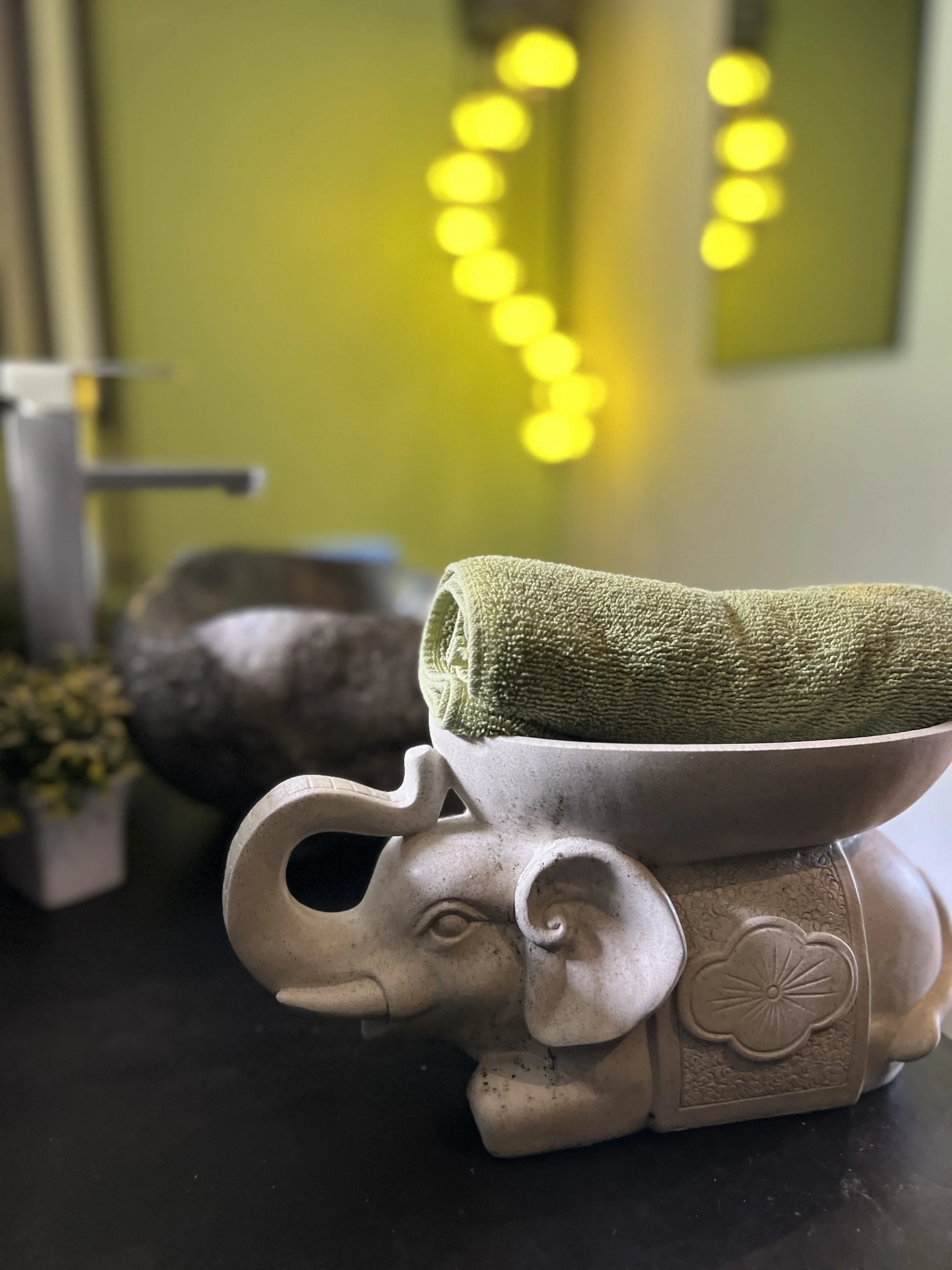 Soap elephant.jpeg