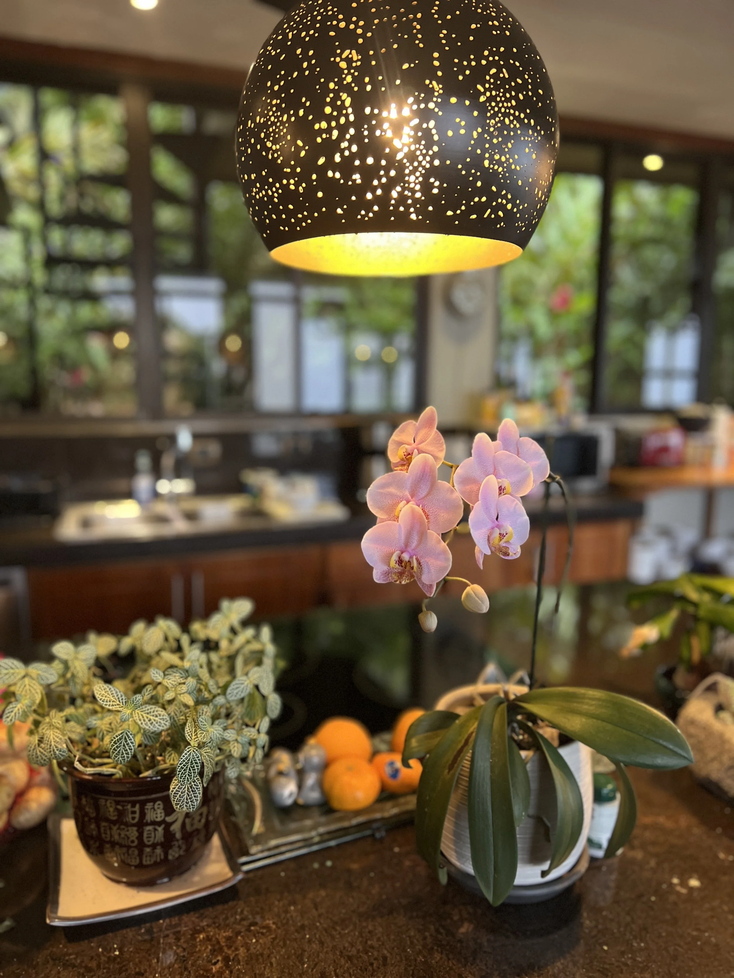 Kitchen Island 2.jpeg