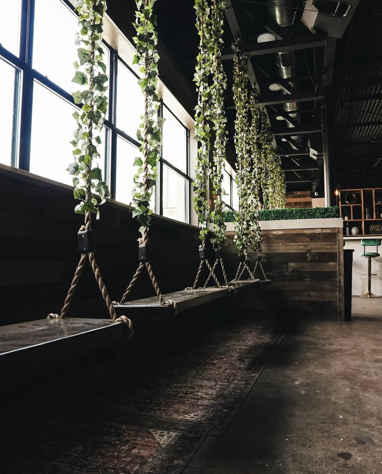 Indoor space with large windows, hanging green plants, and a wooden bench with rope supports.