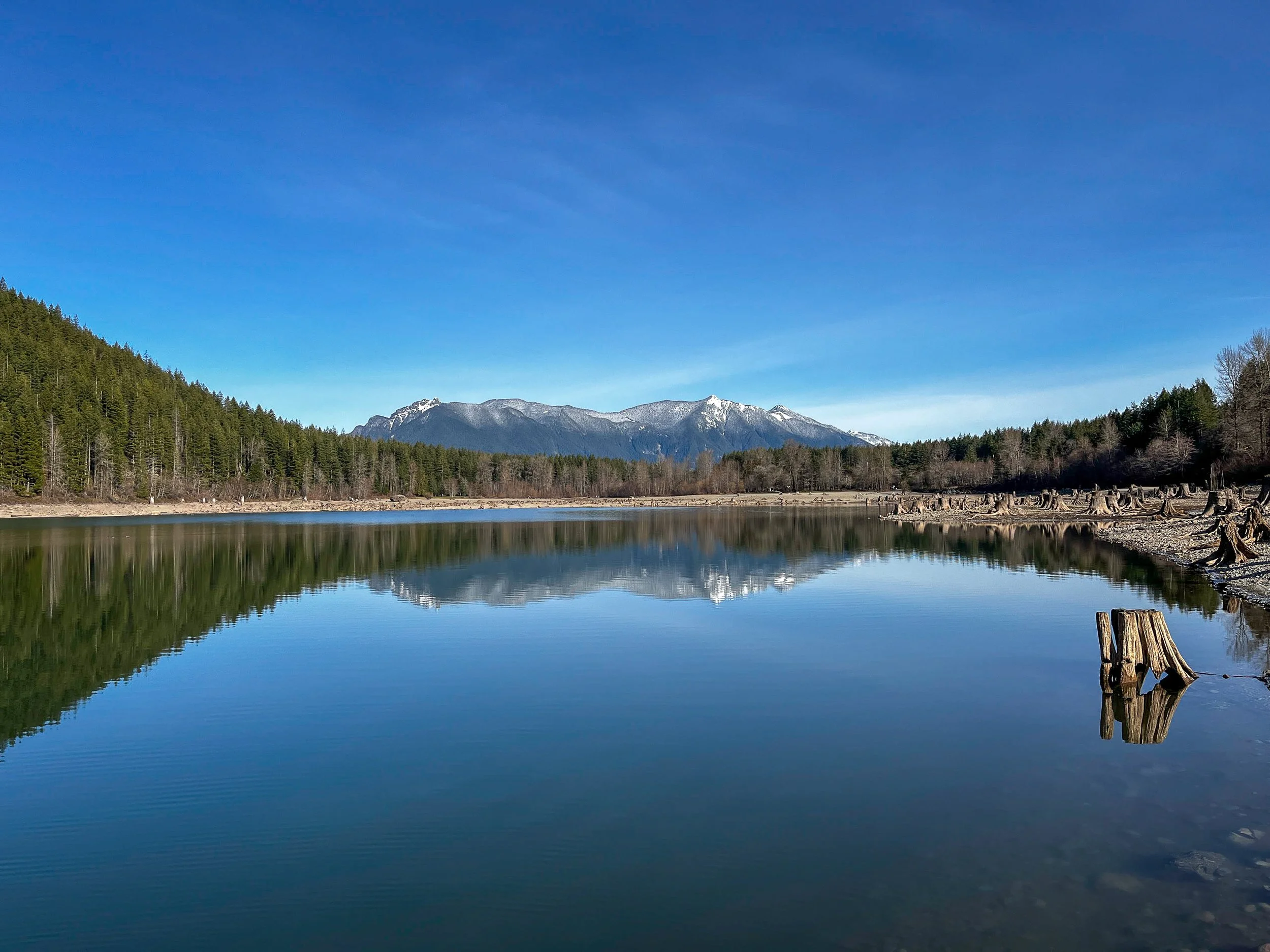 Website 04.02-21.jpg