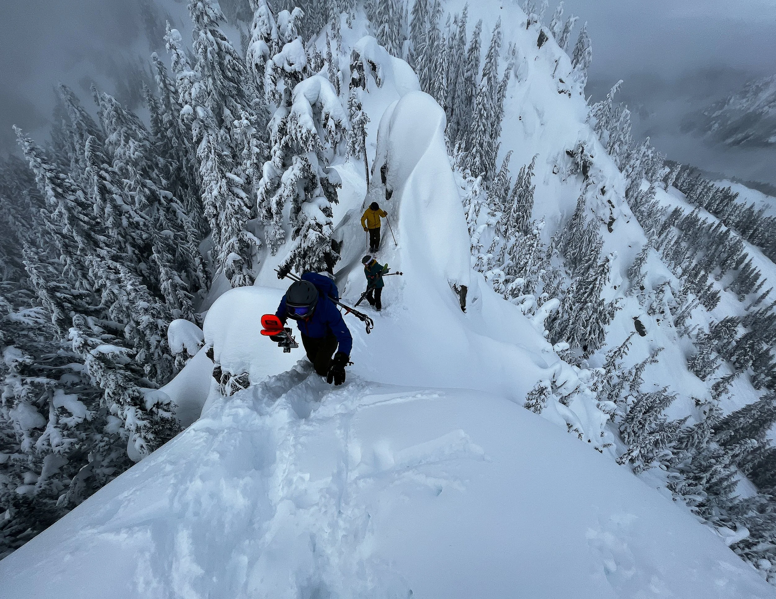 Website - MISC-12.jpg