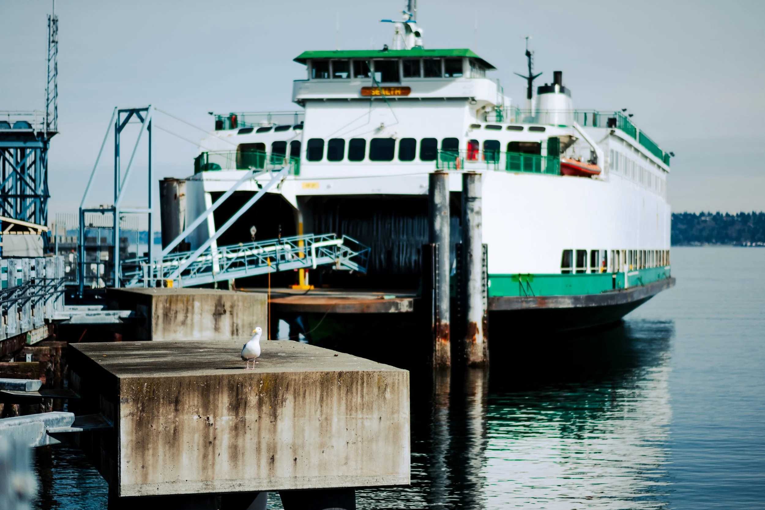 Digital - Color-1-2.jpg