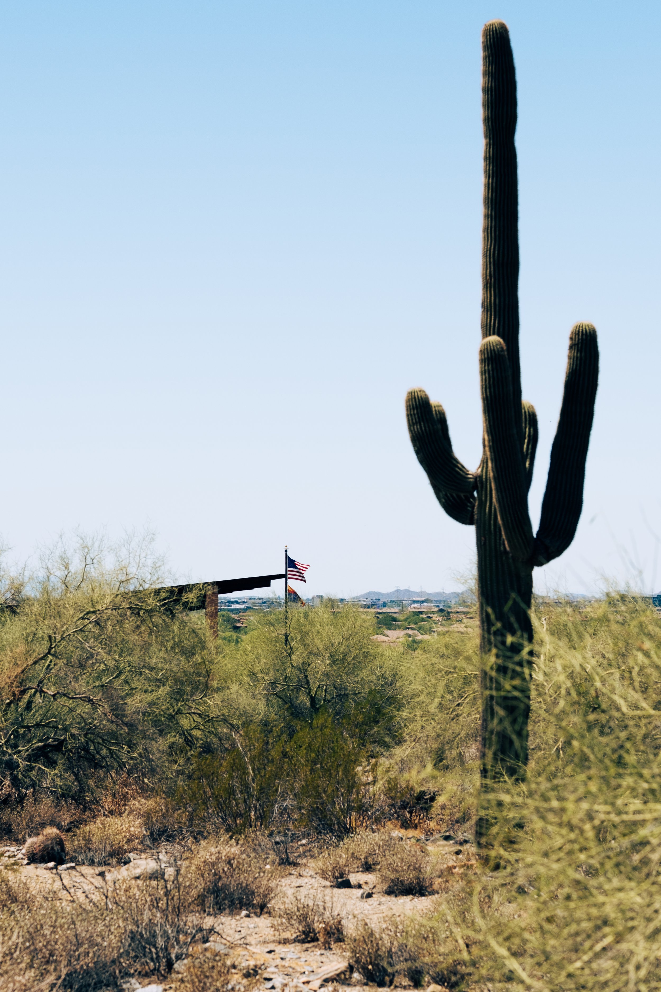 Website - Desert-5.jpg