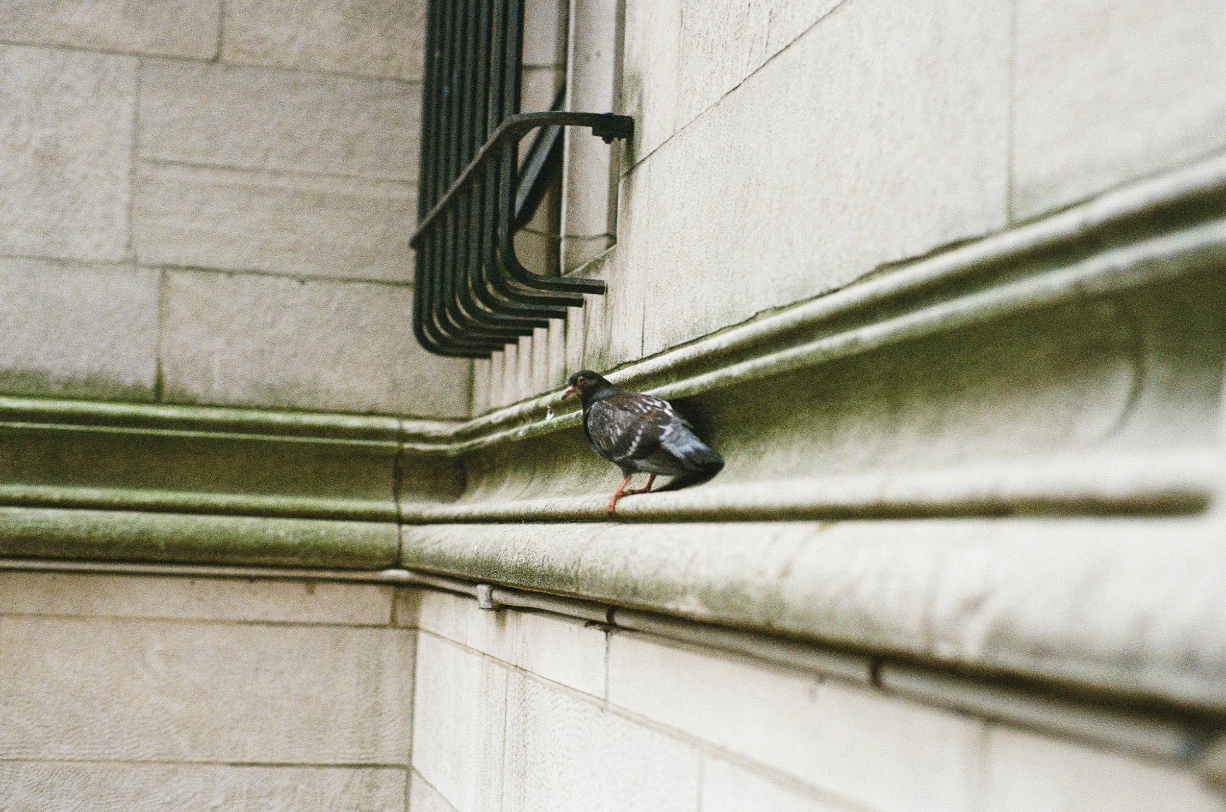 Nikon - New York-06.jpg