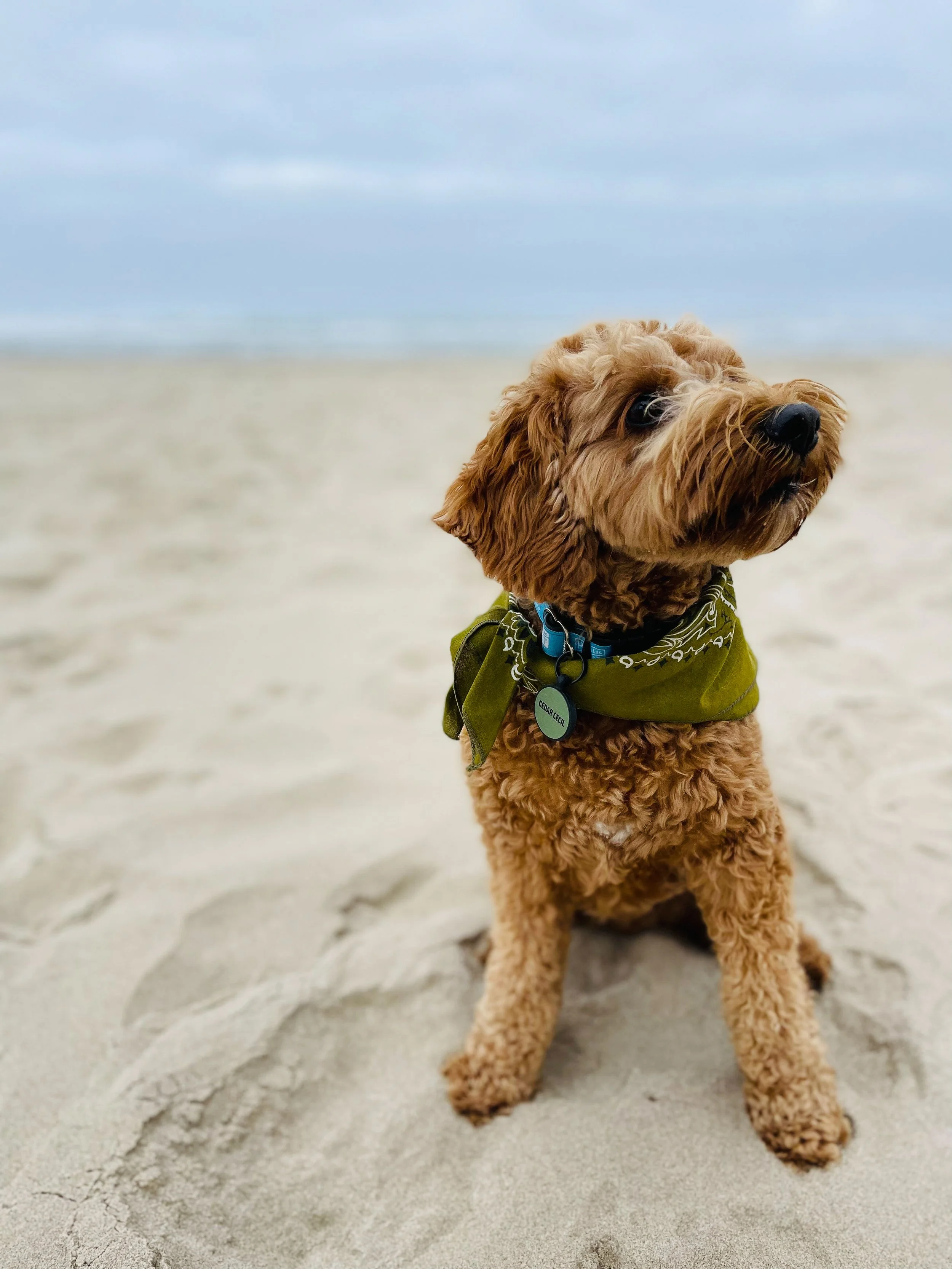 Website - MISC-9.jpg