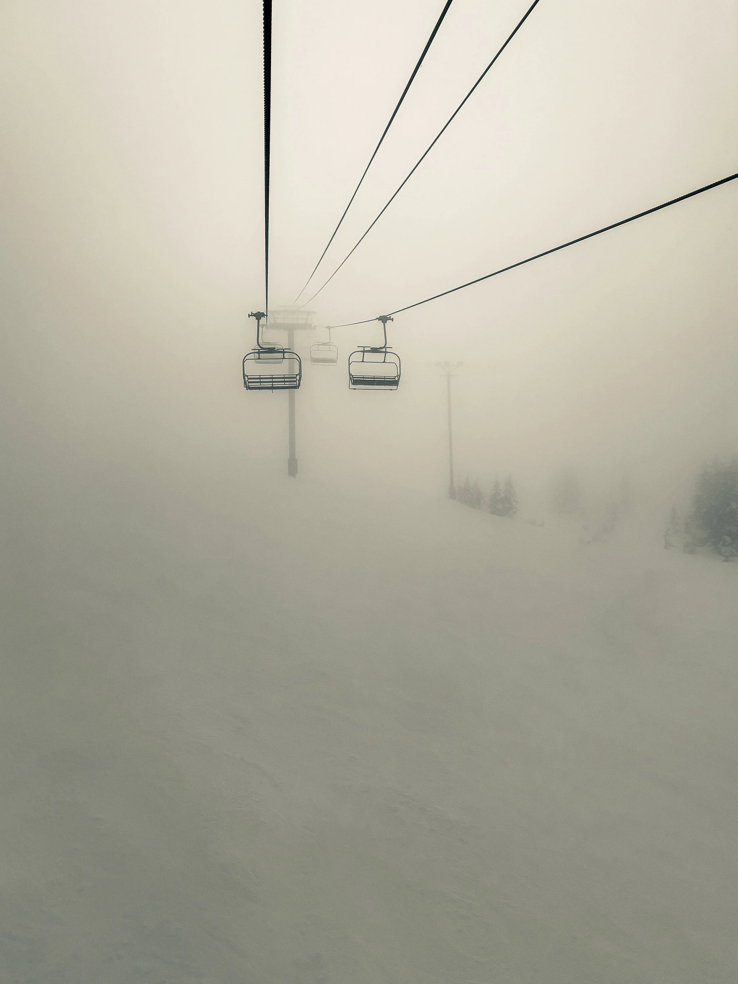 Website - MISC-14.jpg