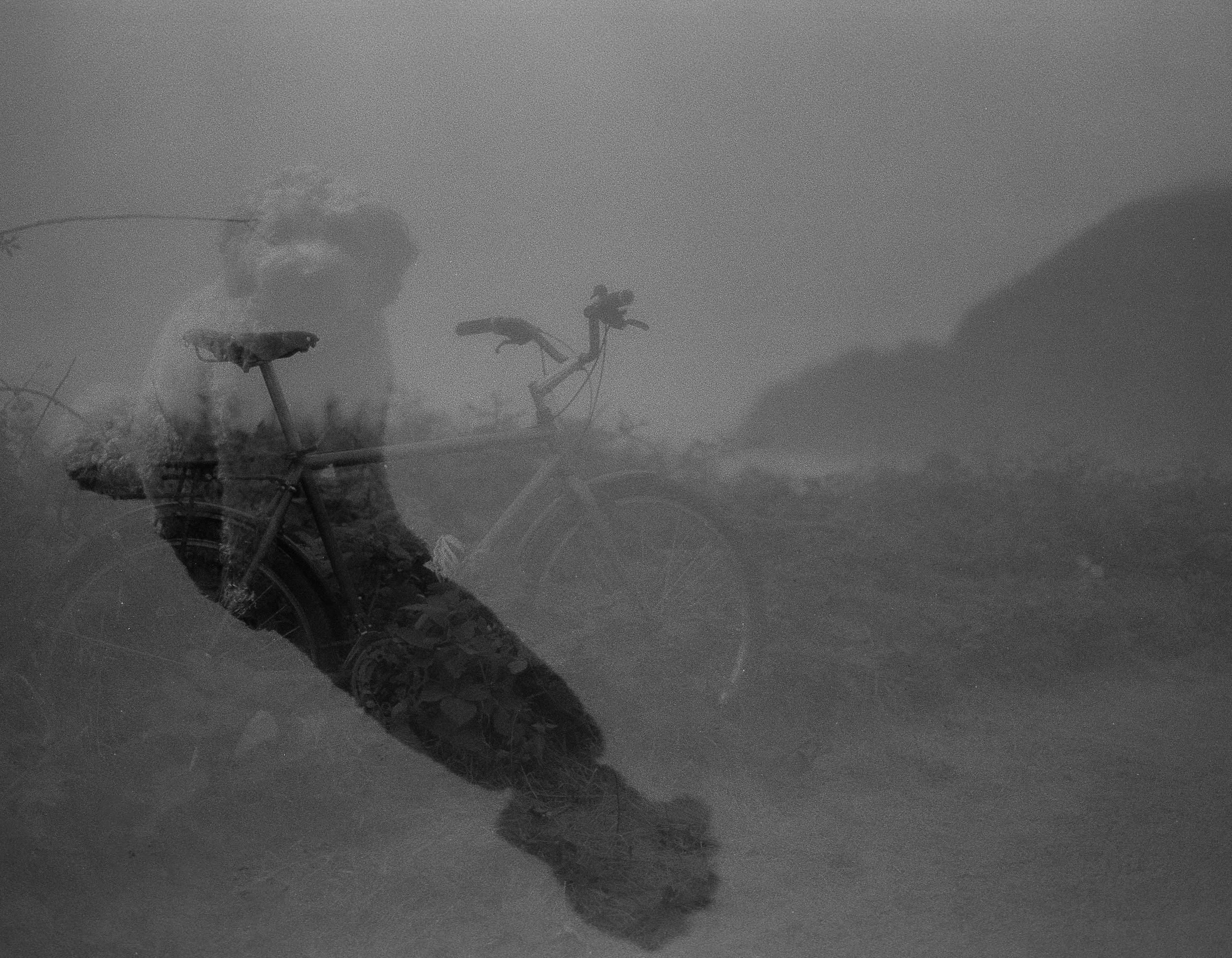 Website - MISC-10.jpg