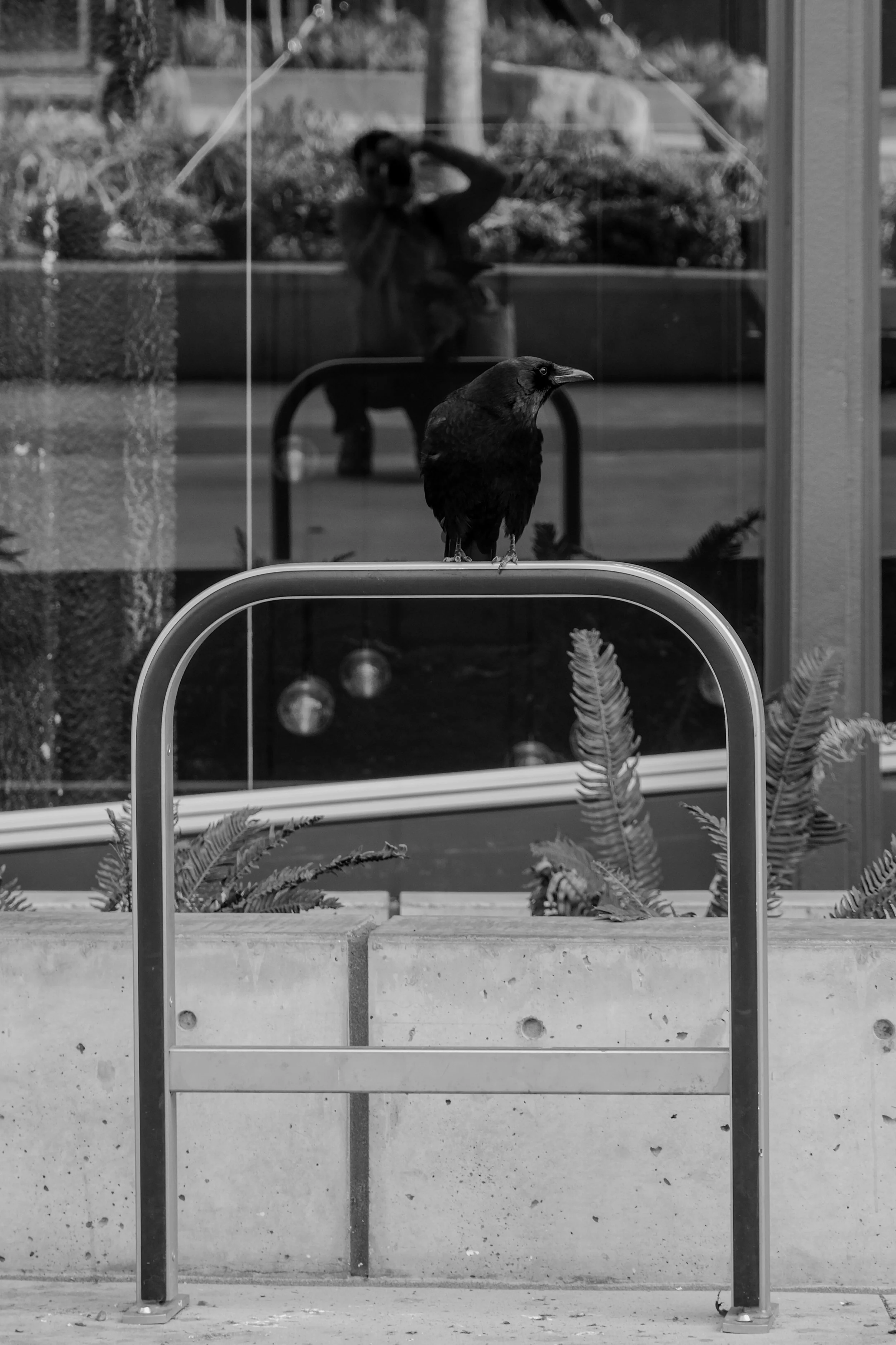 Copy of Vashon _ Seattle Center-13.jpg