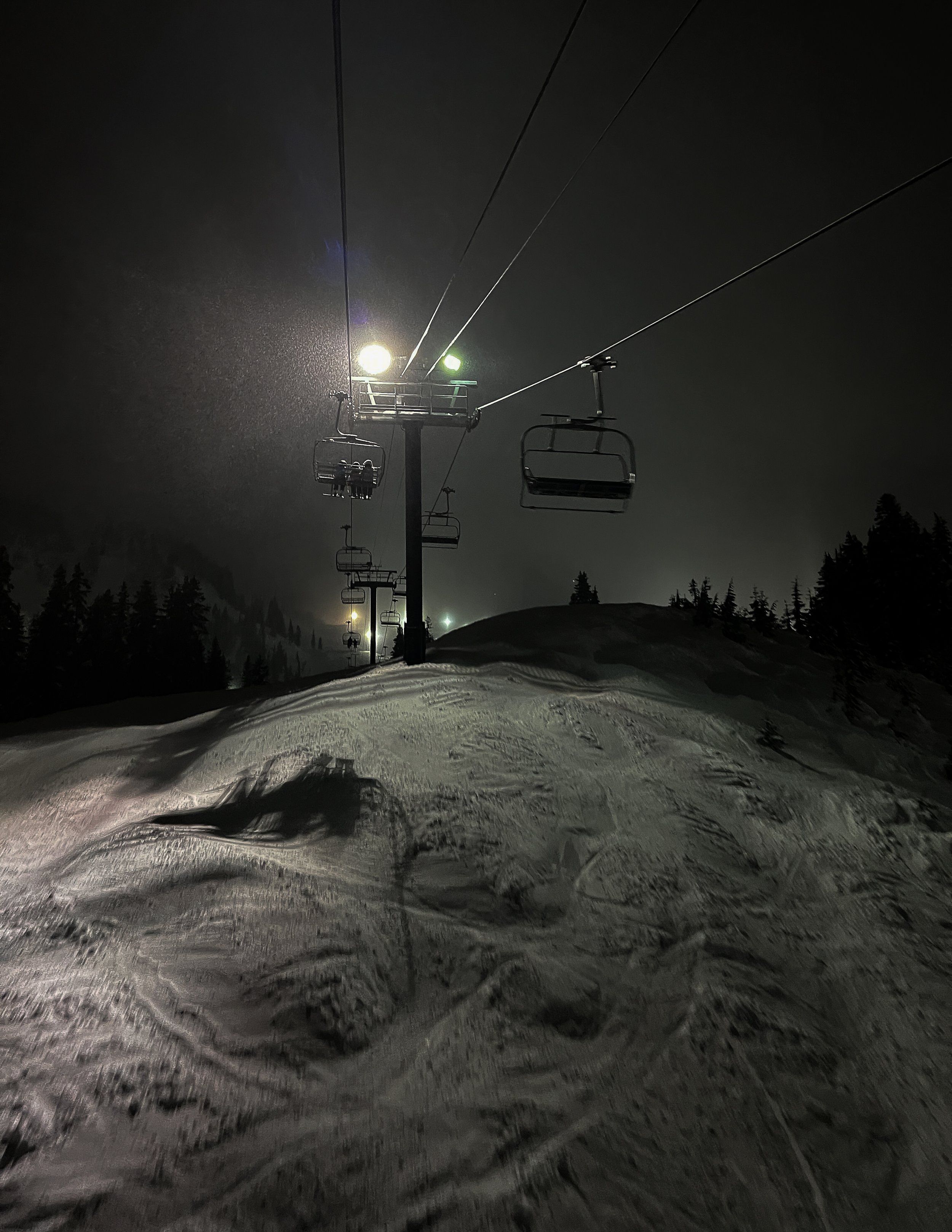 Website - MISC-11.jpg