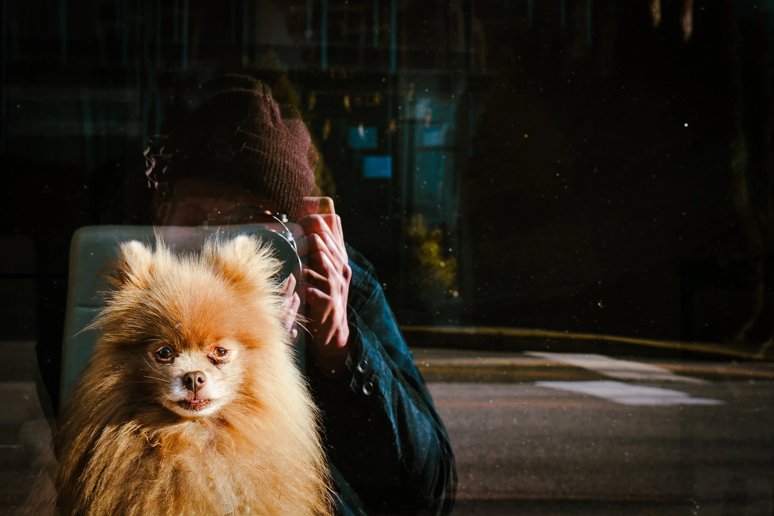 Website - MISC-8.jpg