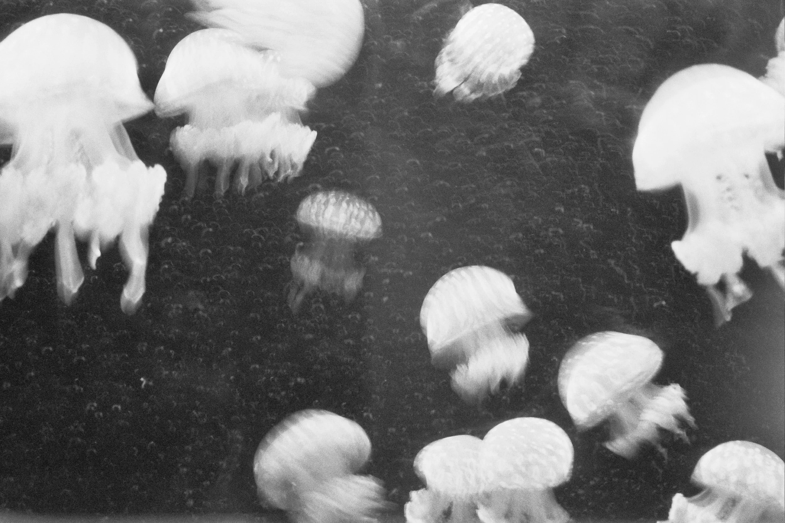 Website 04.02-15.jpg