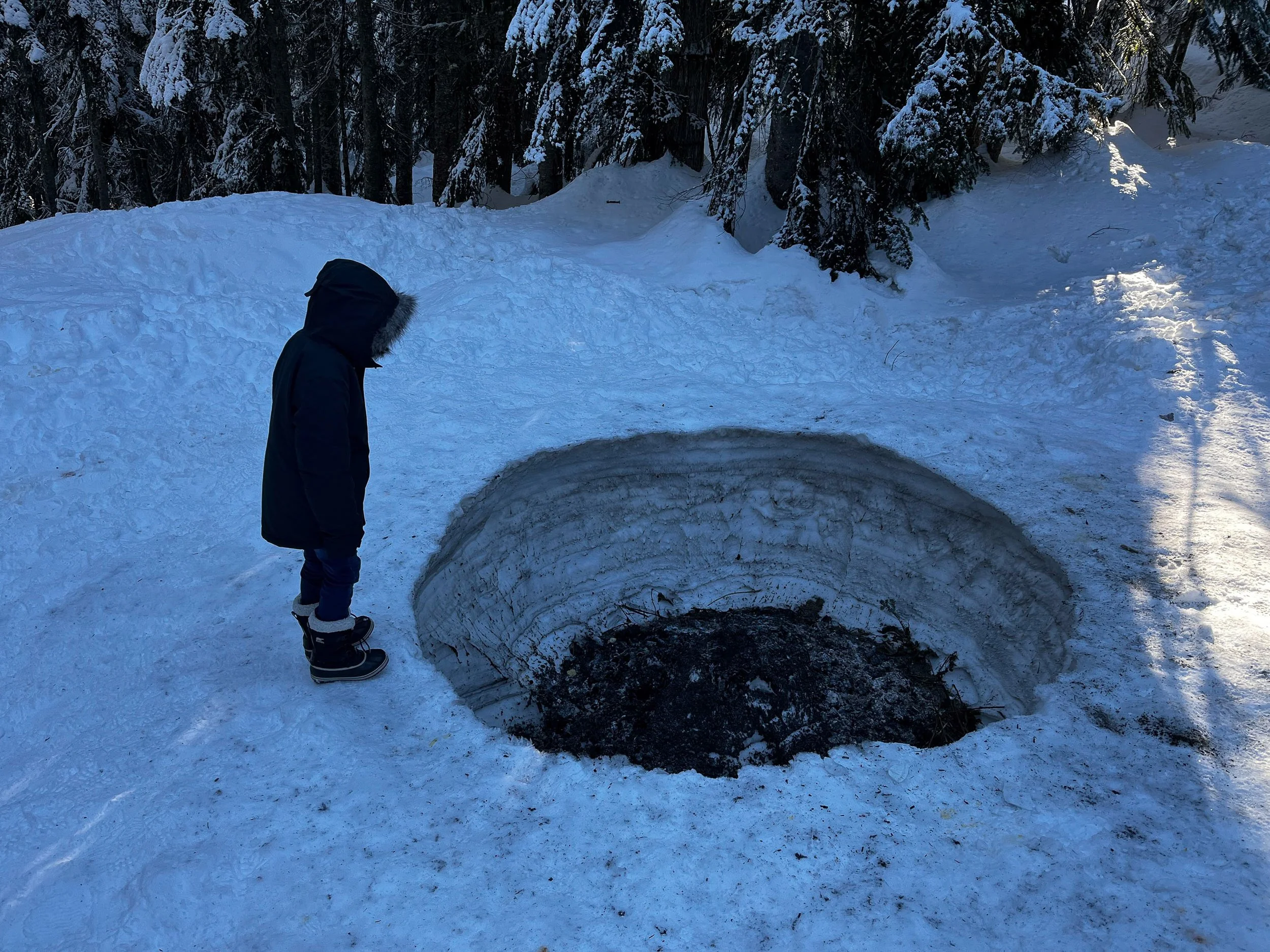 Website 04.02-20.jpg