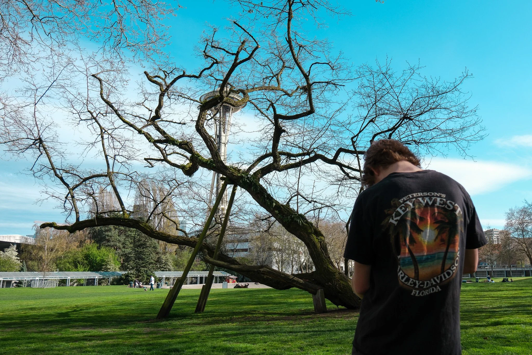 Color - Digital-1.jpg