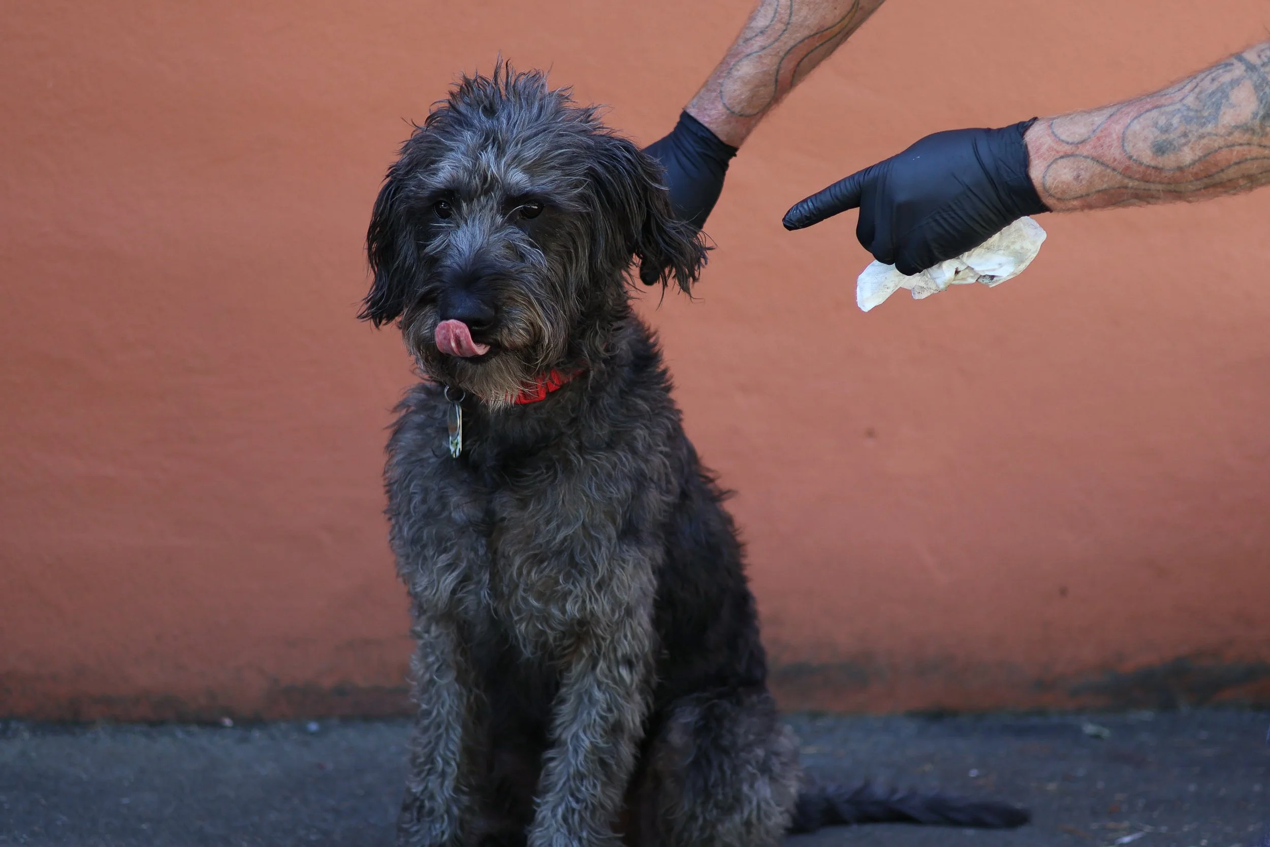 Digital - Color-1-3.jpg