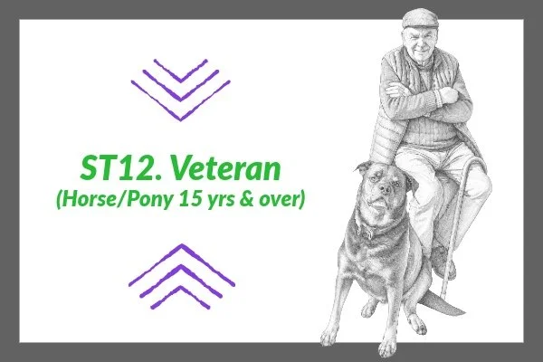 ST 12. Veteran