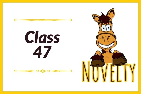 47. Neatest & Cleanest