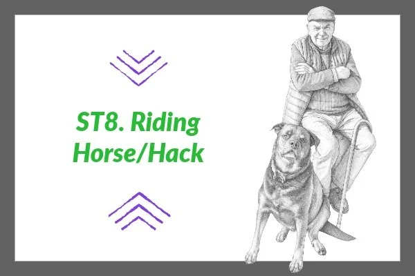 ST 8. Riding Horse/Hack