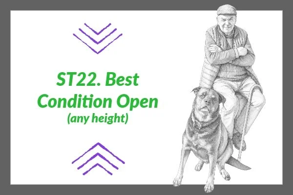 ST 22. Best Condition Open