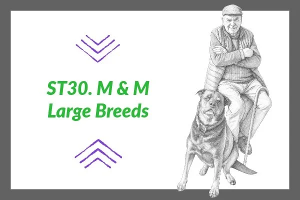 ST 30. M & M Large Breeds