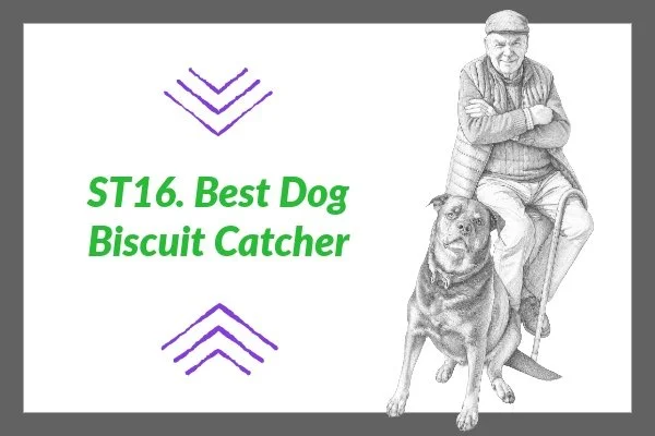 ST 16. Best Dog Biscuit Catcher