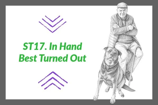 ST 17. In Hand Best Turned Out